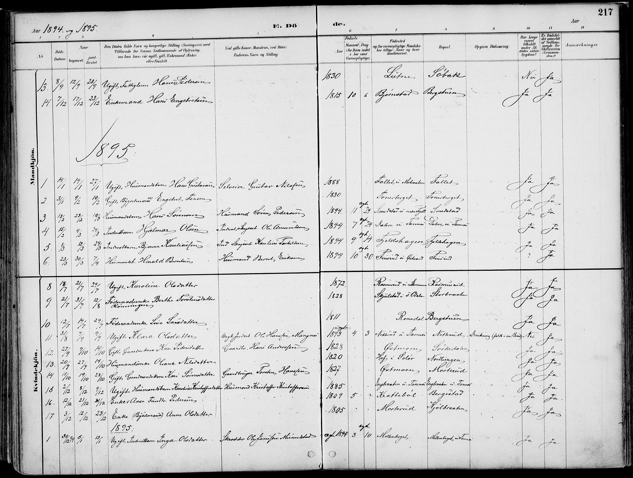 Nord-Odal prestekontor, SAH/PREST-032/H/Ha/Haa/L0008: Parish register (official) no. 8, 1886-1901, p. 217