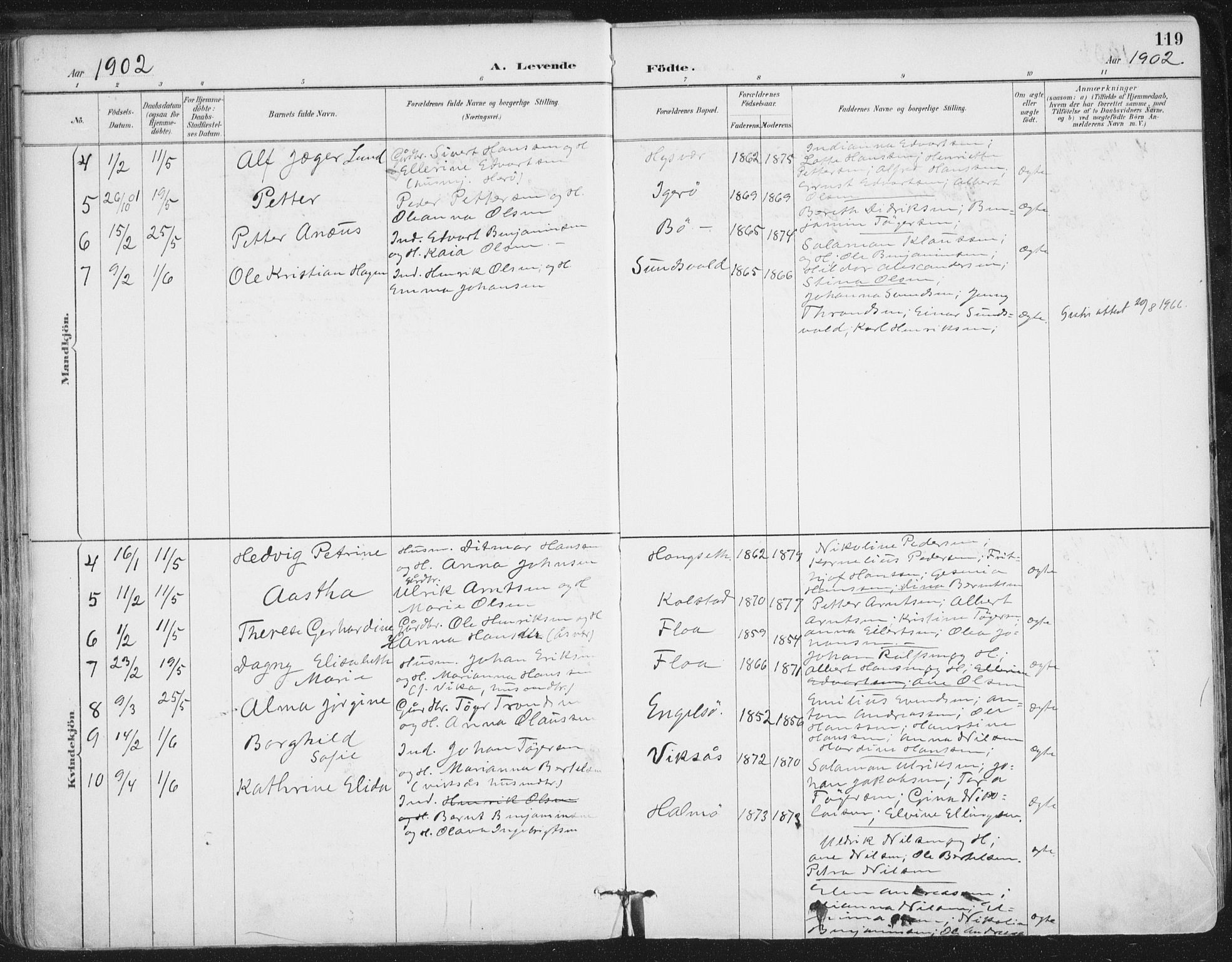 Ministerialprotokoller, klokkerbøker og fødselsregistre - Nordland, AV/SAT-A-1459/816/L0244: Parish register (official) no. 816A10, 1886-1903, p. 119