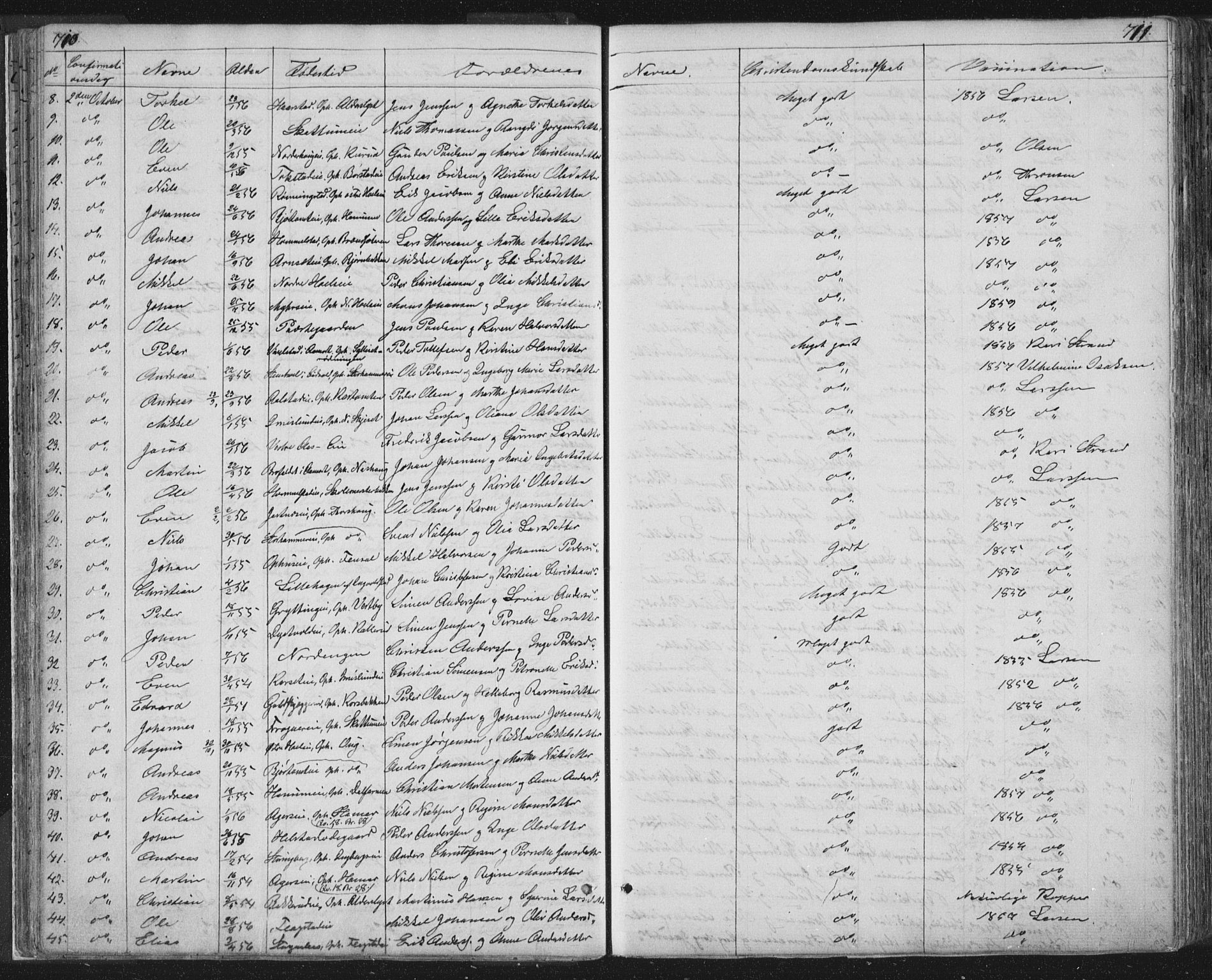 Vang prestekontor, Hedmark, AV/SAH-PREST-008/H/Ha/Hab/L0010B: Parish register (copy) no. 10b, 1854-1896, p. 710-711