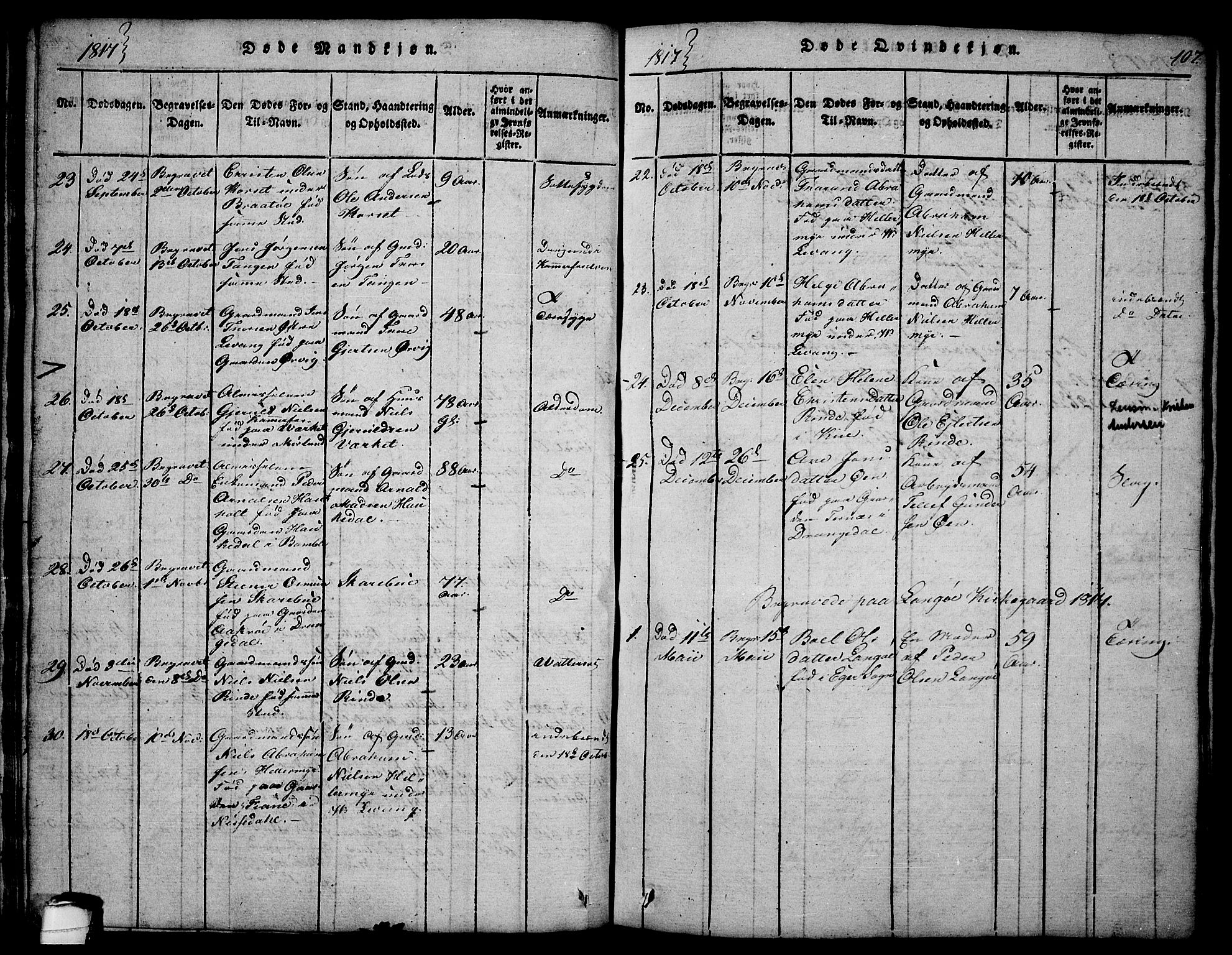 Sannidal kirkebøker, AV/SAKO-A-296/F/Fa/L0004: Parish register (official) no. 4, 1814-1829, p. 107