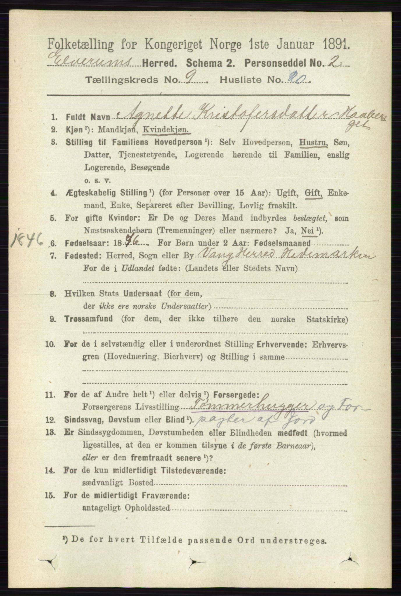 RA, 1891 census for 0427 Elverum, 1891, p. 7746