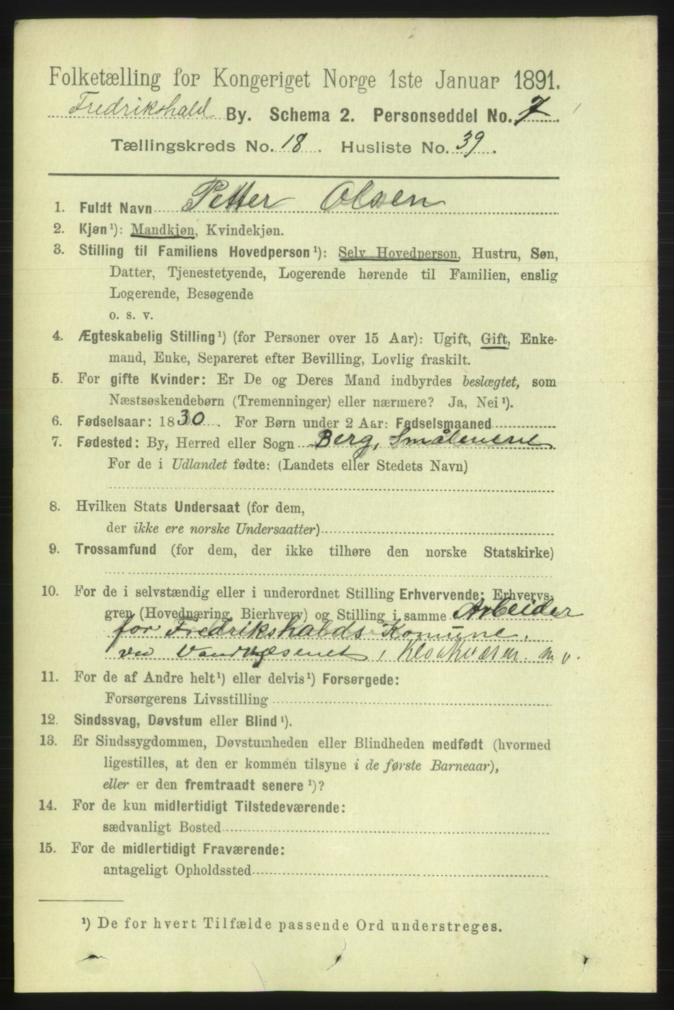 RA, 1891 census for 0101 Fredrikshald, 1891, p. 11907