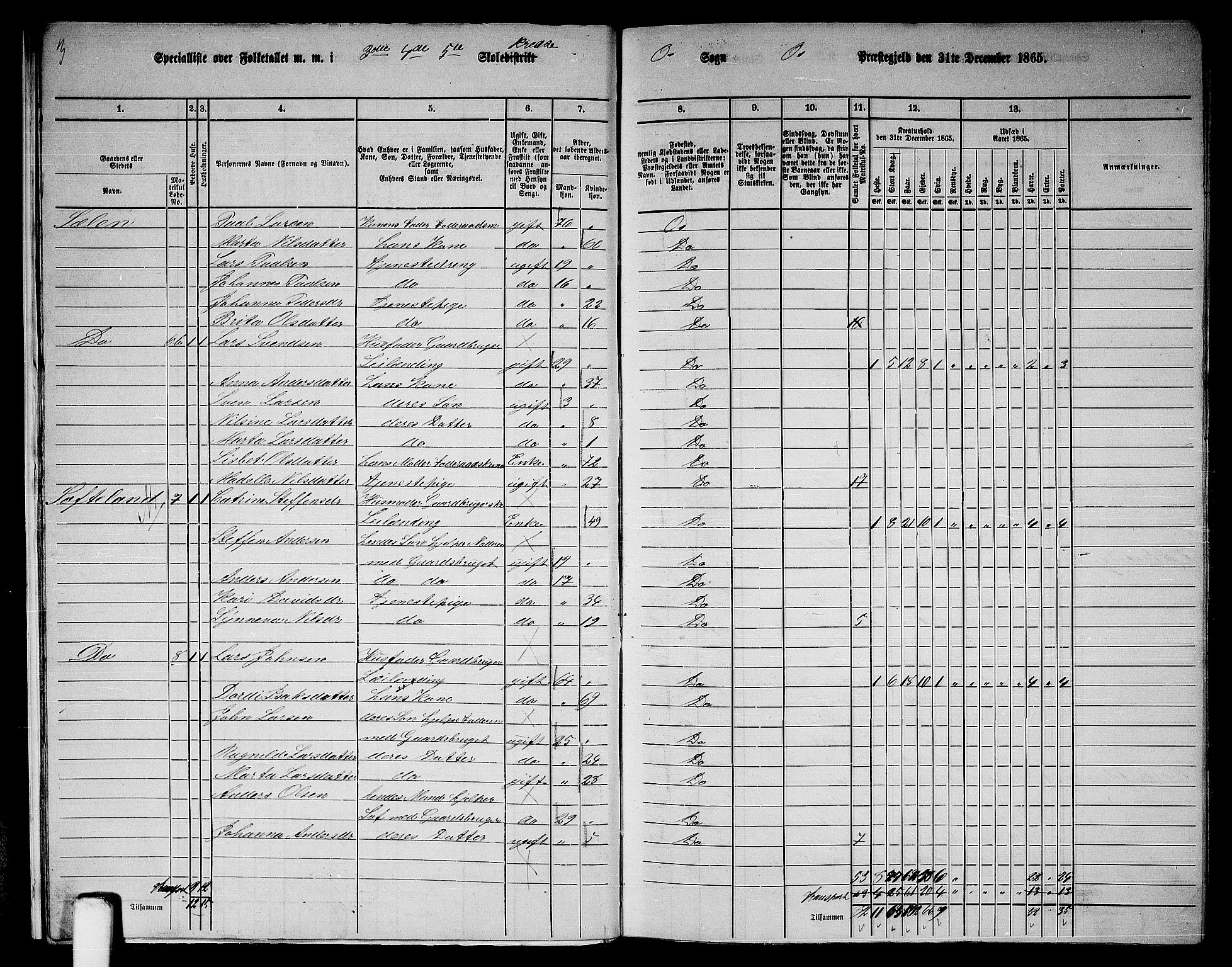 RA, 1865 census for Os, 1865, p. 14