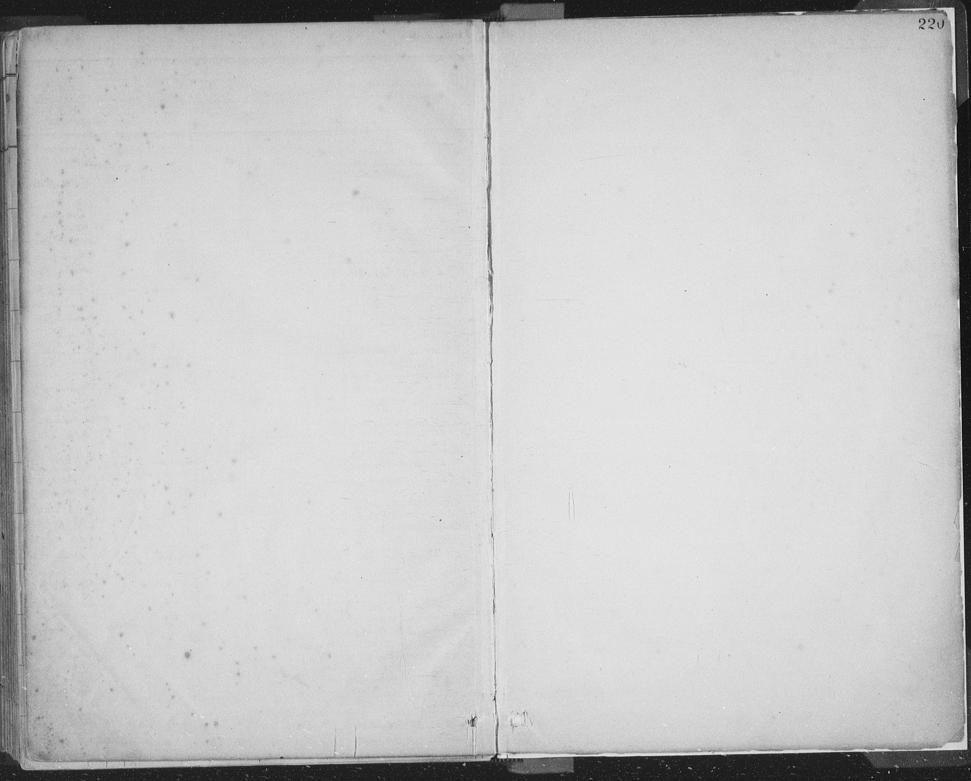 Domkirken sokneprestembete, AV/SAB-A-74801/H/Hab/L0032: Parish register (copy) no. D 4, 1880-1907, p. 220