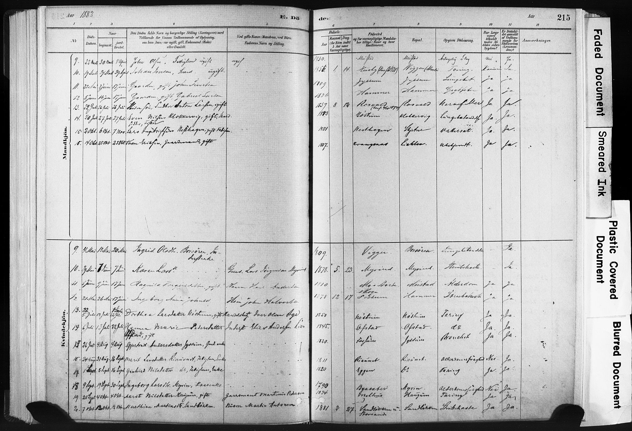 Ministerialprotokoller, klokkerbøker og fødselsregistre - Sør-Trøndelag, AV/SAT-A-1456/665/L0773: Parish register (official) no. 665A08, 1879-1905, p. 215