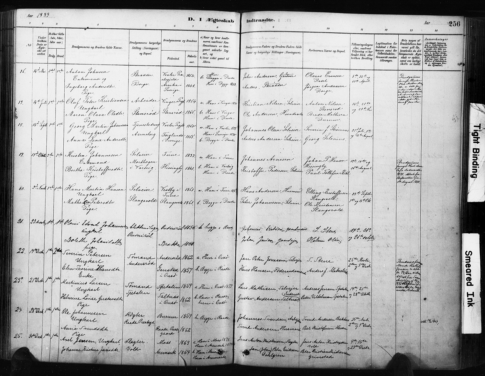 Råde prestekontor kirkebøker, AV/SAO-A-2009/F/Fa/L0007: Parish register (official) no. 7, 1878-1902, p. 256