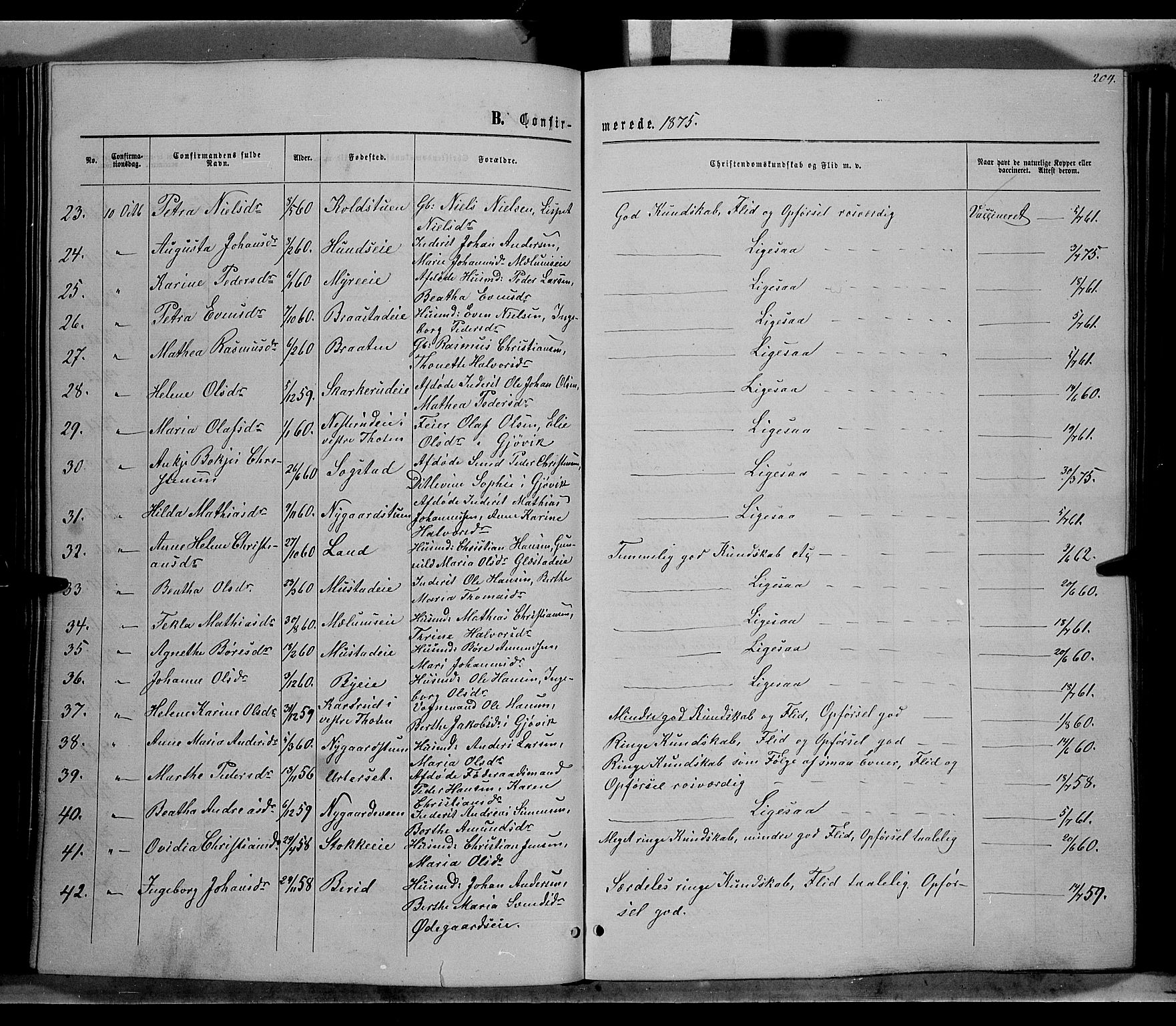 Vardal prestekontor, SAH/PREST-100/H/Ha/Hab/L0006: Parish register (copy) no. 6, 1869-1881, p. 204