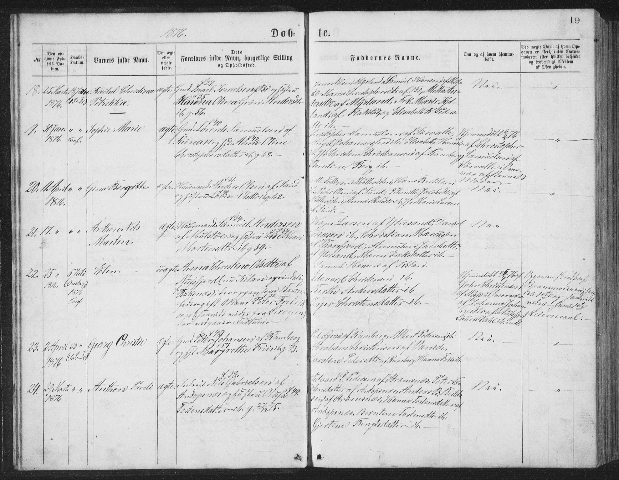 Ministerialprotokoller, klokkerbøker og fødselsregistre - Nordland, AV/SAT-A-1459/885/L1213: Parish register (copy) no. 885C02, 1874-1892, p. 19