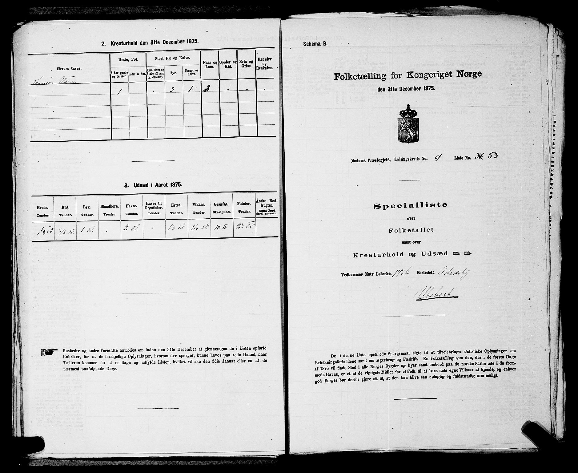 SAKO, 1875 census for 0623P Modum, 1875, p. 1146