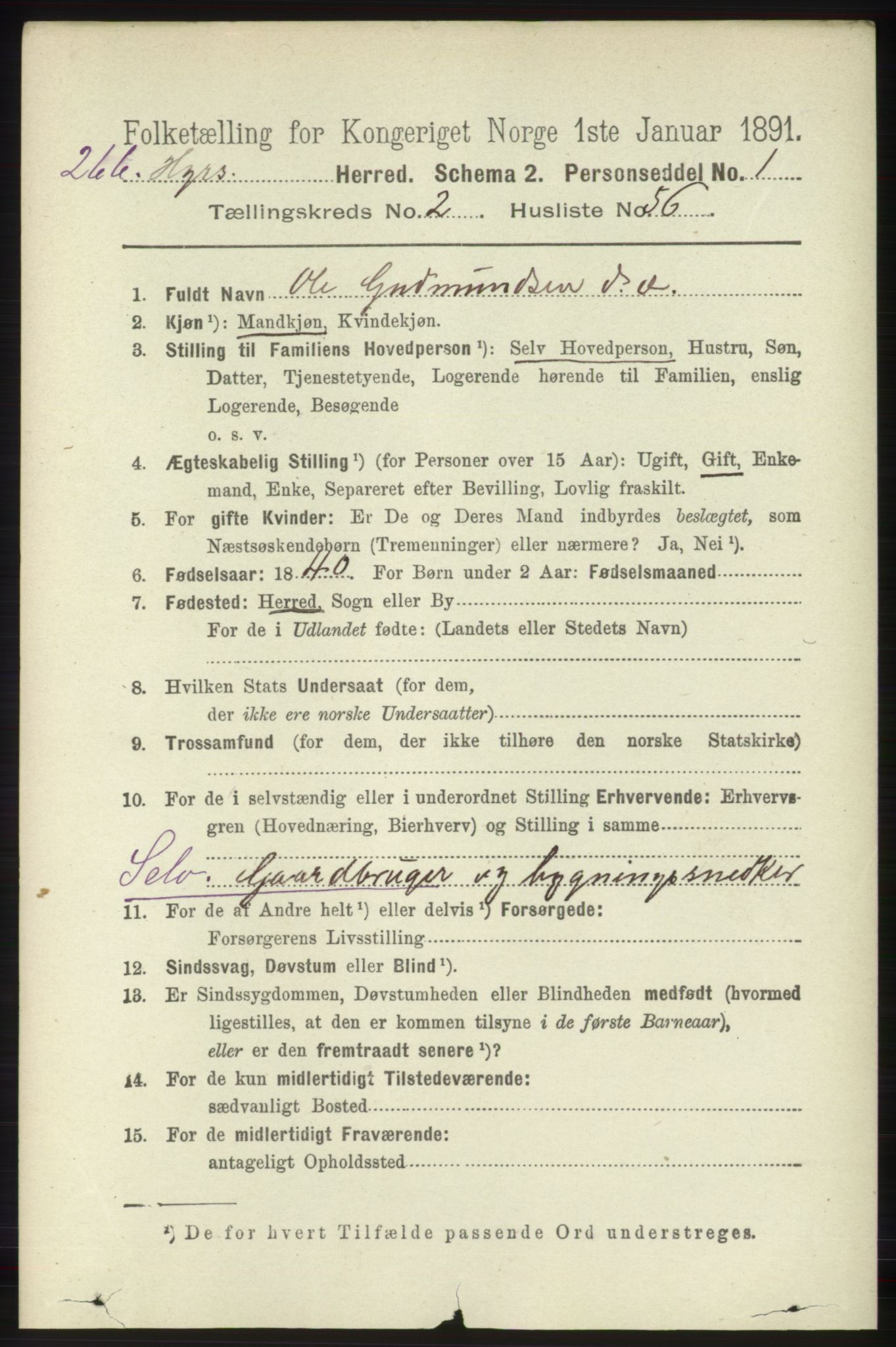 RA, 1891 census for 1253 Hosanger, 1891, p. 909