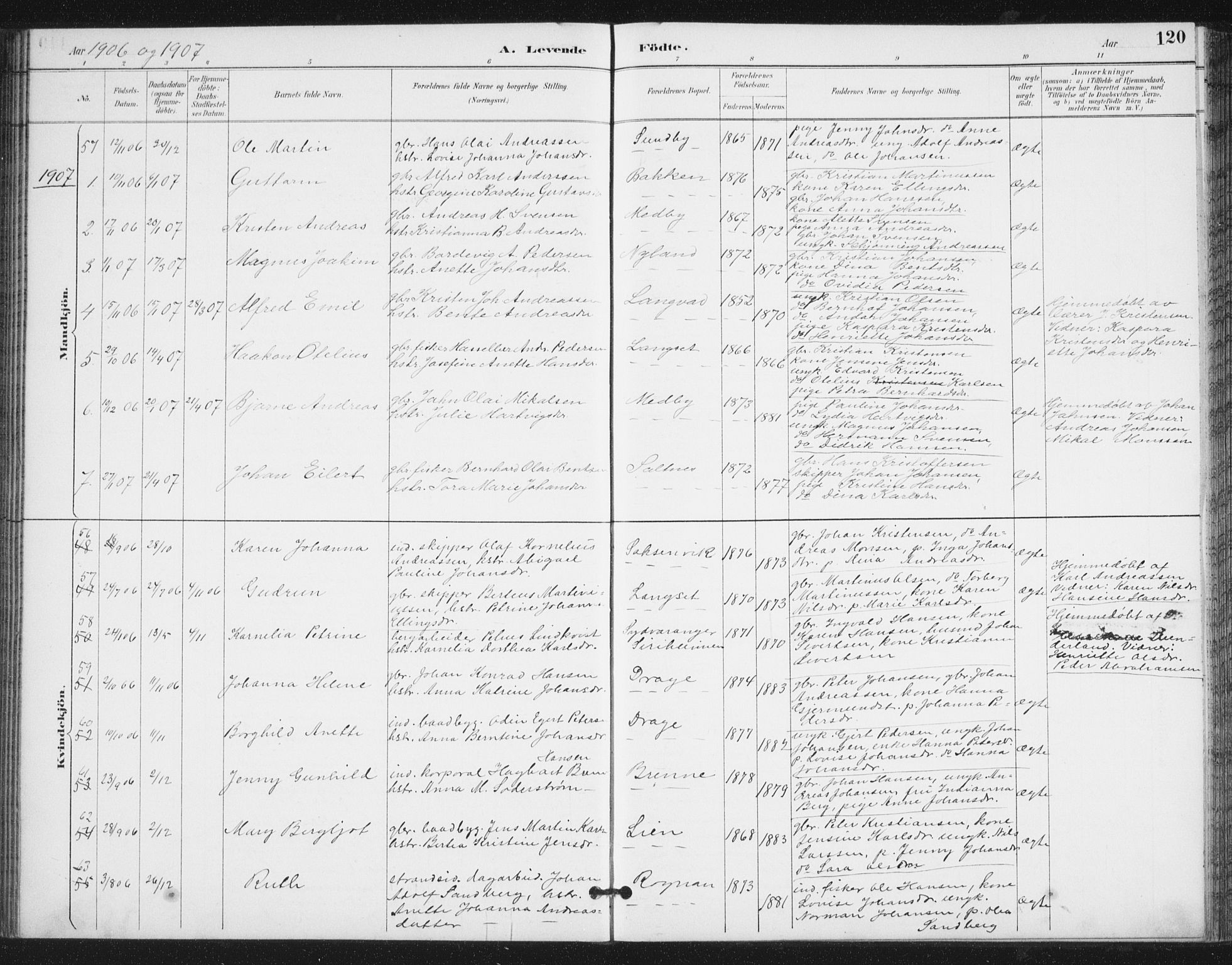 Ministerialprotokoller, klokkerbøker og fødselsregistre - Nordland, SAT/A-1459/847/L0682: Parish register (copy) no. 847C10, 1889-1907, p. 120