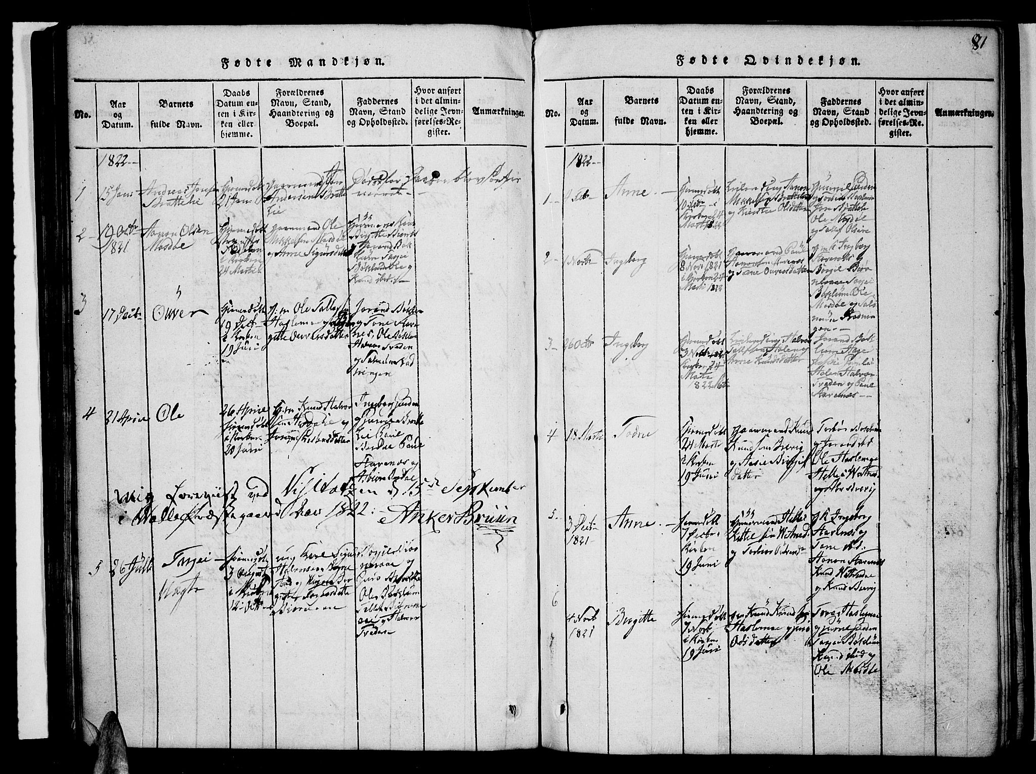 Valle sokneprestkontor, SAK/1111-0044/F/Fb/Fbc/L0001: Parish register (copy) no. B 1 /3, 1816-1829, p. 81