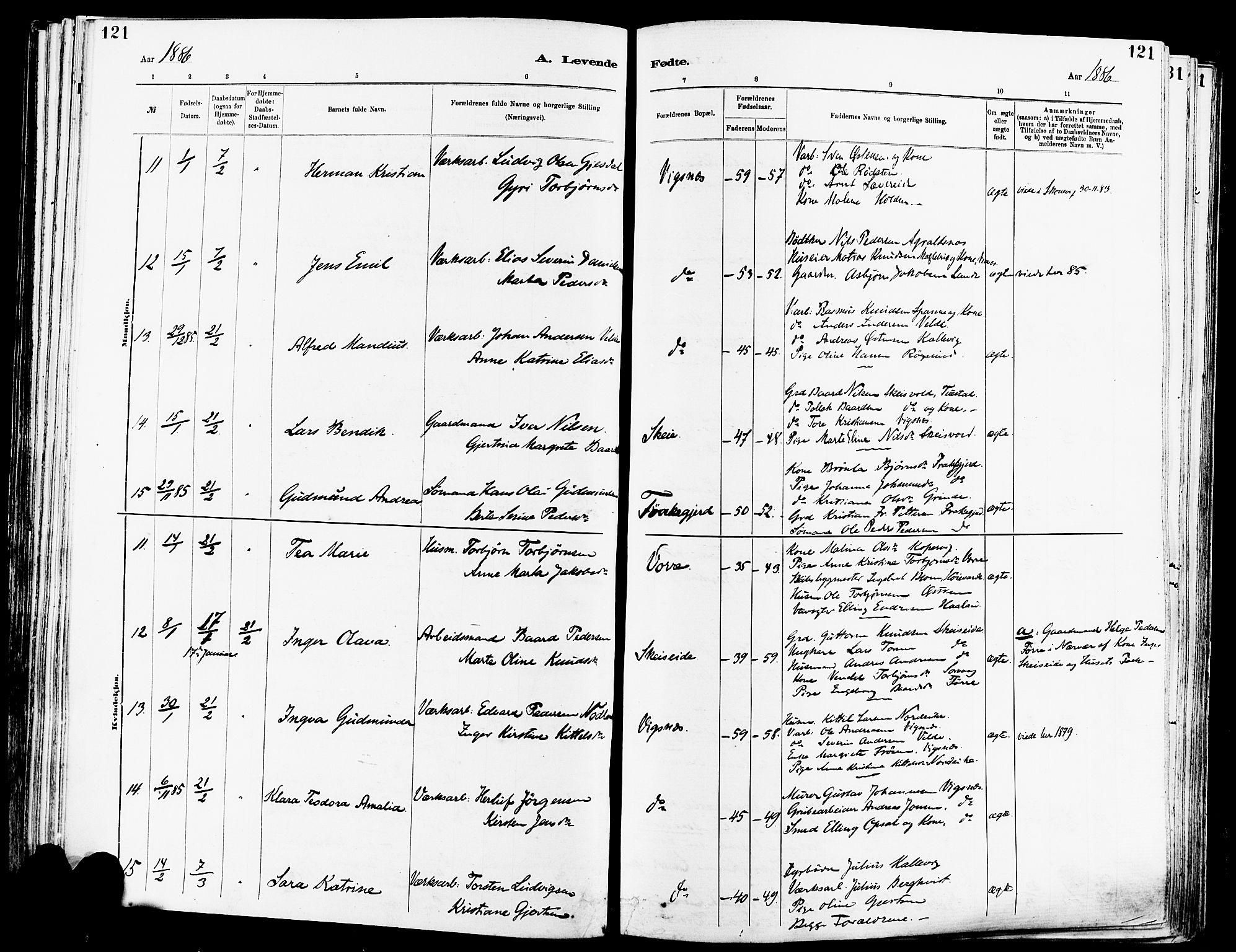 Avaldsnes sokneprestkontor, SAST/A -101851/H/Ha/Haa/L0014: Parish register (official) no. A 14, 1880-1889, p. 121