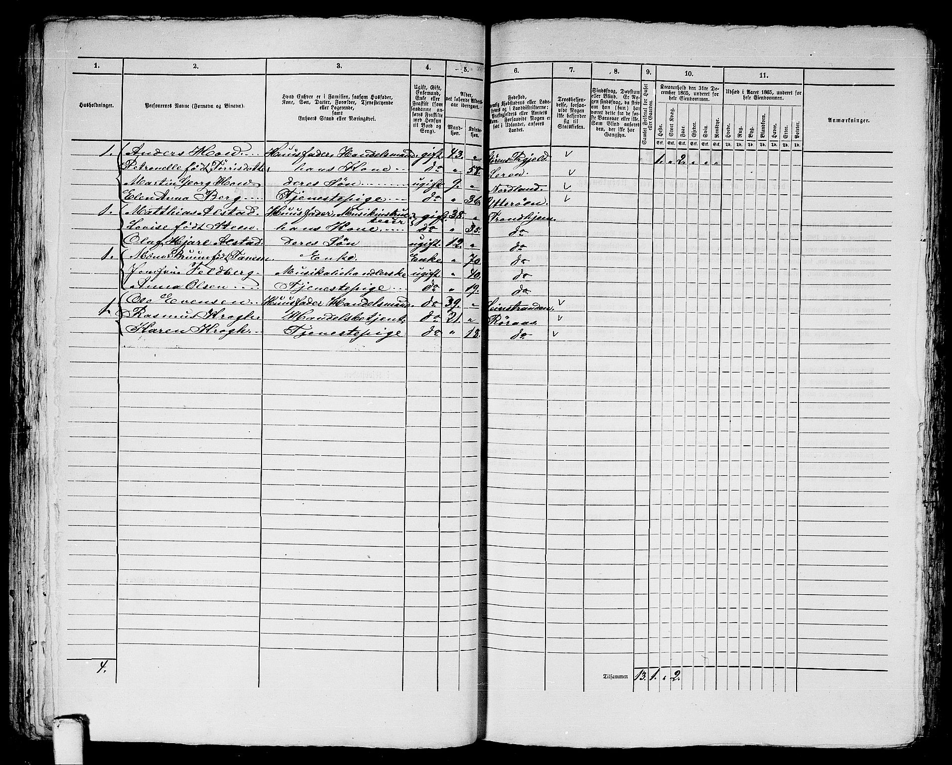 RA, 1865 census for Trondheim, 1865, p. 1219