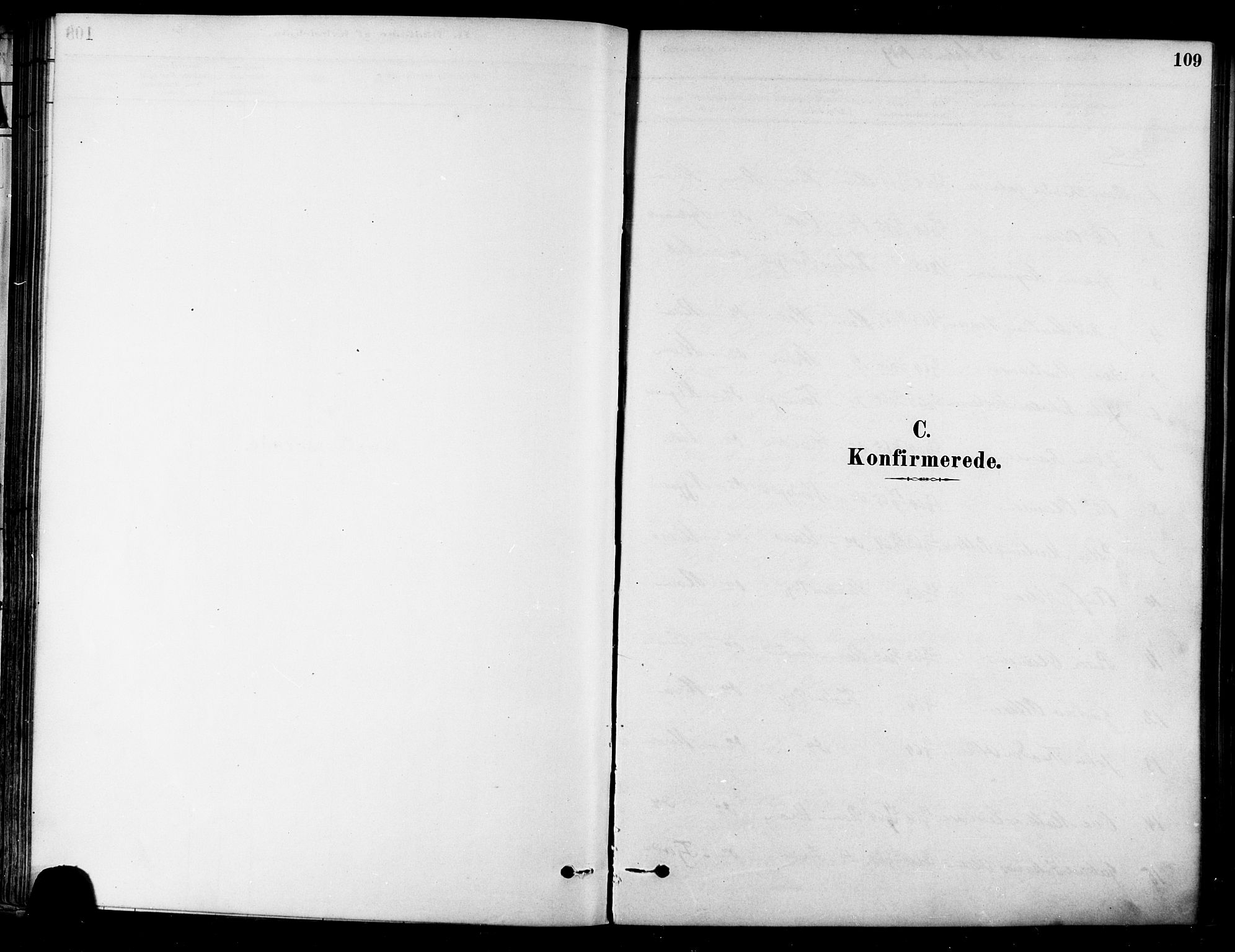 Ministerialprotokoller, klokkerbøker og fødselsregistre - Sør-Trøndelag, AV/SAT-A-1456/657/L0707: Parish register (official) no. 657A08, 1879-1893, p. 109