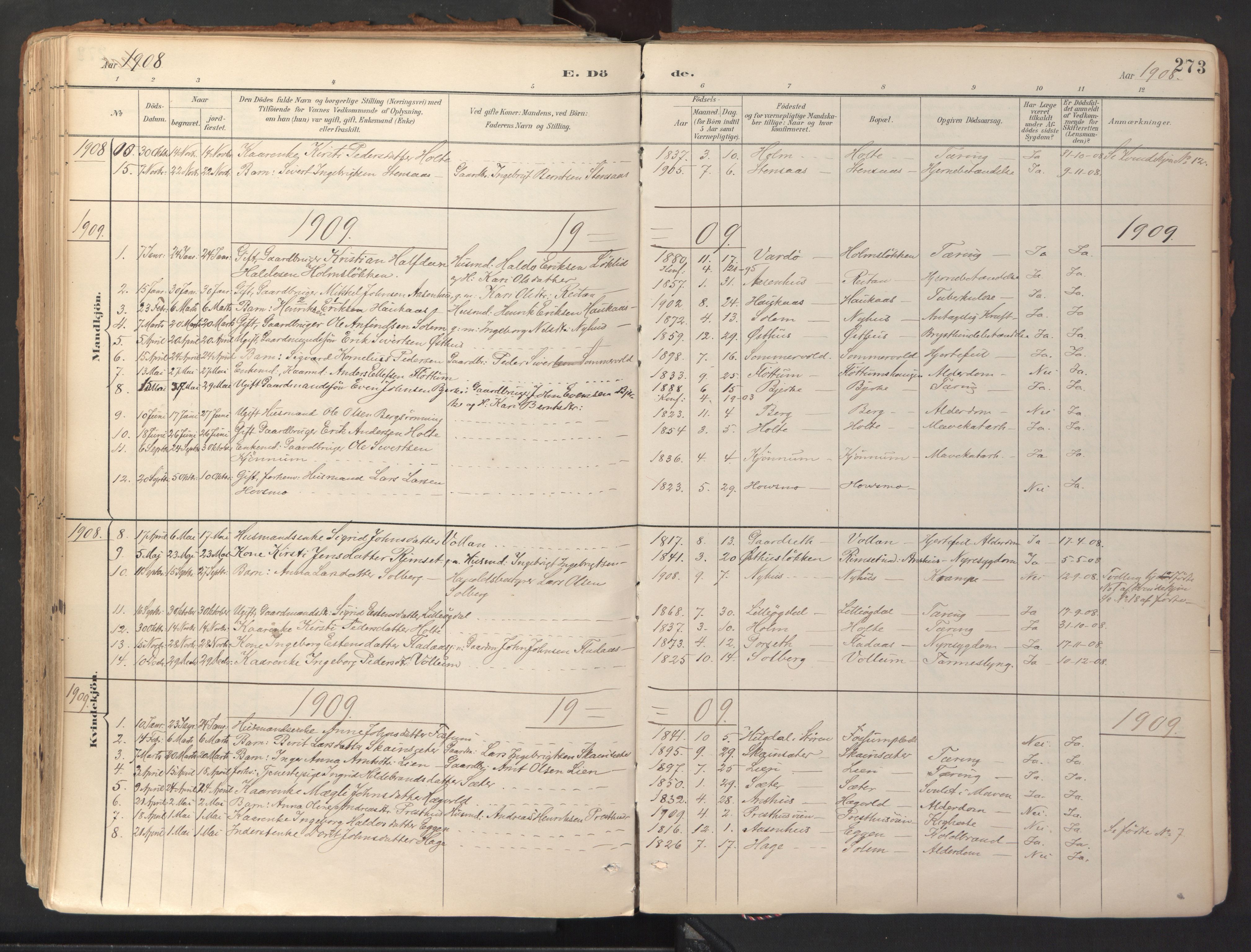Ministerialprotokoller, klokkerbøker og fødselsregistre - Sør-Trøndelag, SAT/A-1456/689/L1041: Parish register (official) no. 689A06, 1891-1923, p. 273