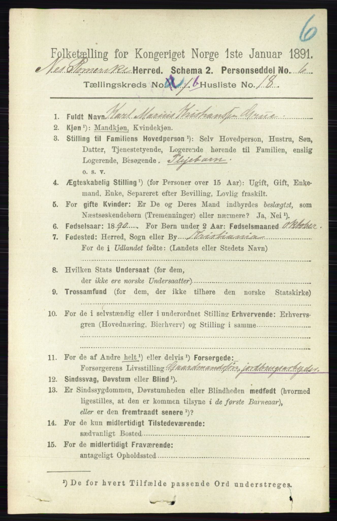 RA, 1891 census for 0236 Nes, 1891, p. 825