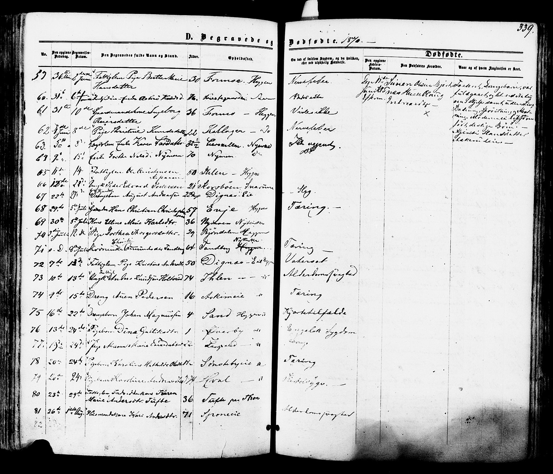 Modum kirkebøker, AV/SAKO-A-234/F/Fa/L0010: Parish register (official) no. 10, 1865-1876, p. 339