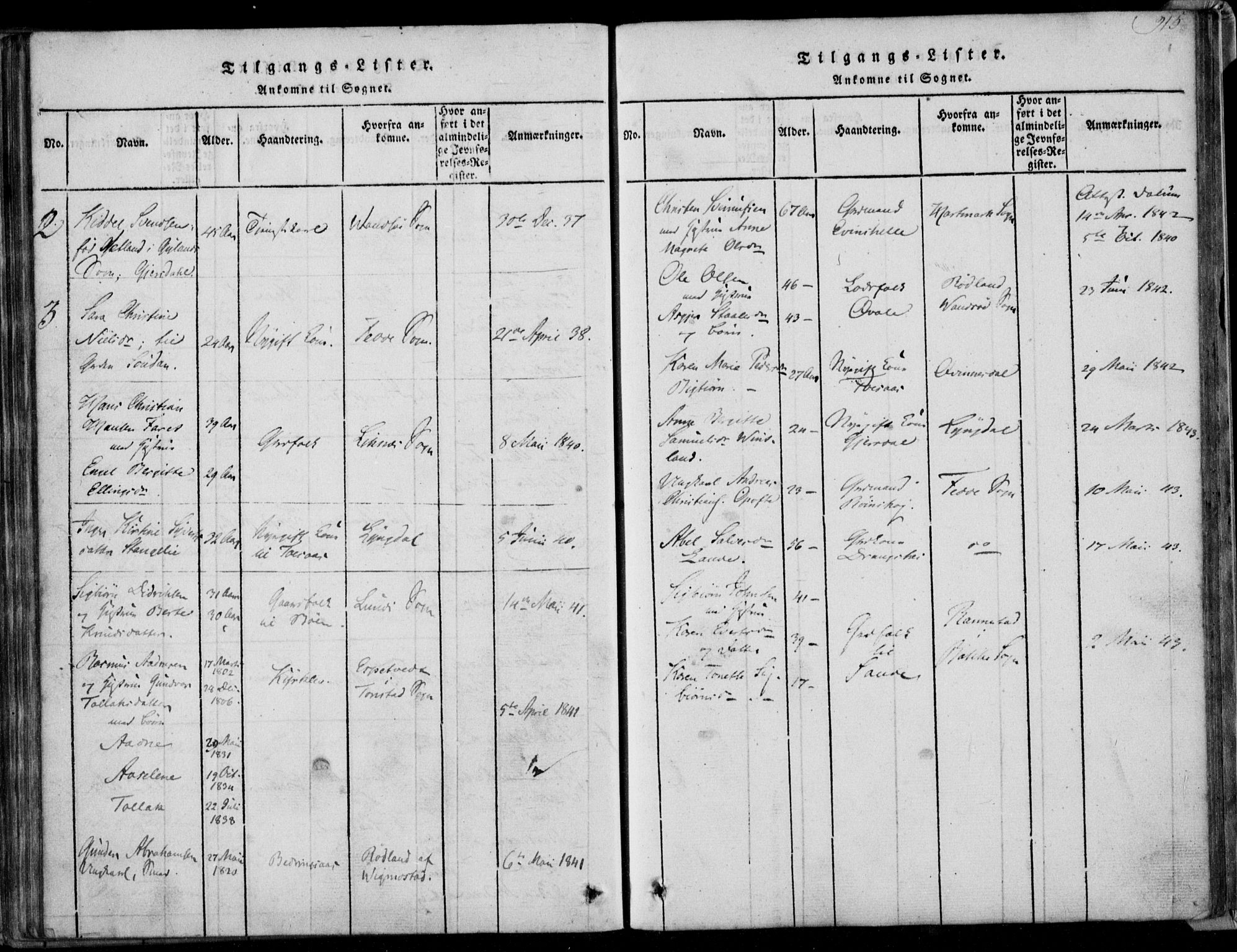 Herad sokneprestkontor, AV/SAK-1111-0018/F/Fa/Faa/L0003: Parish register (official) no. A 3, 1816-1844, p. 315