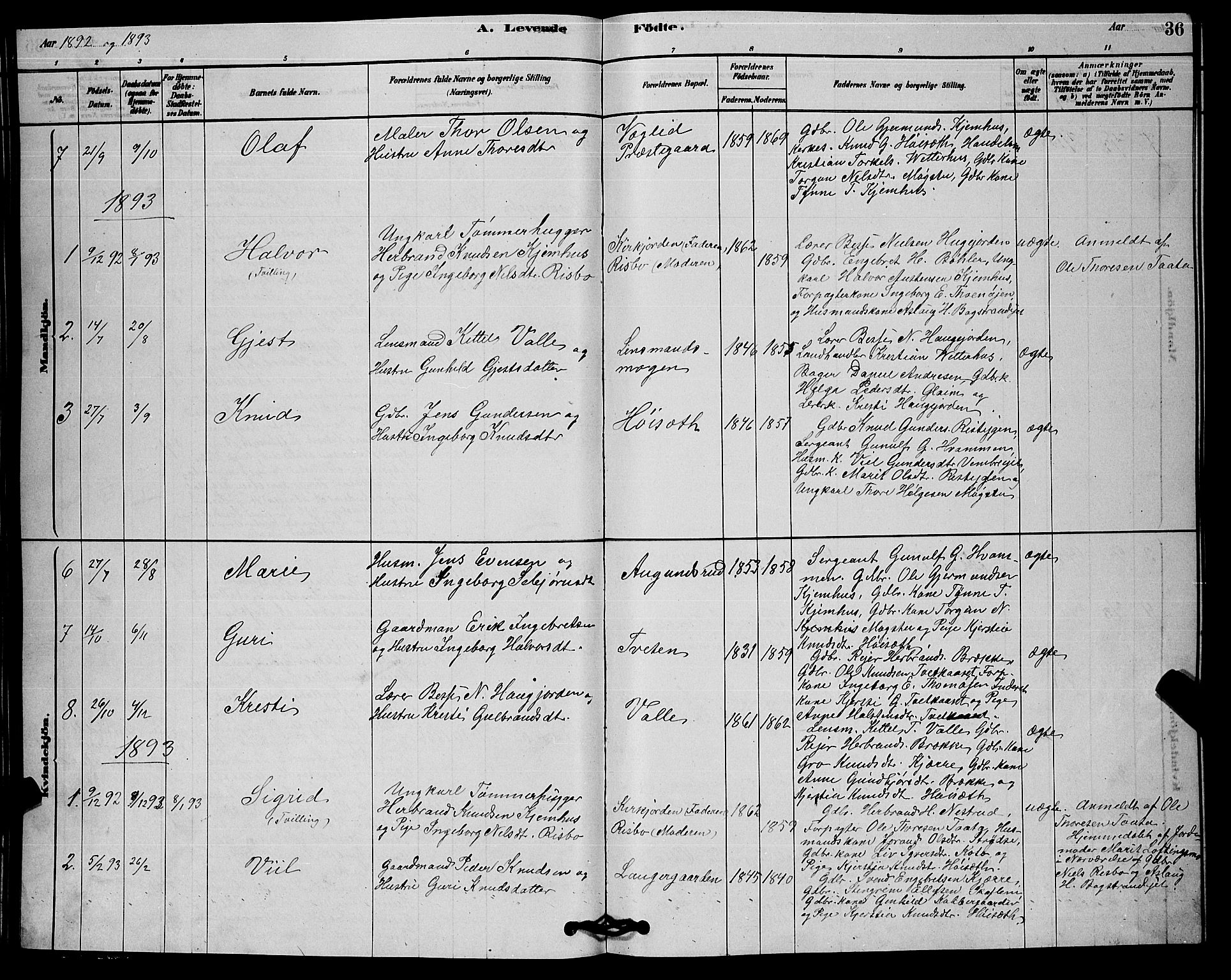 Rollag kirkebøker, SAKO/A-240/G/Gb/L0002: Parish register (copy) no. II 2, 1878-1898, p. 36
