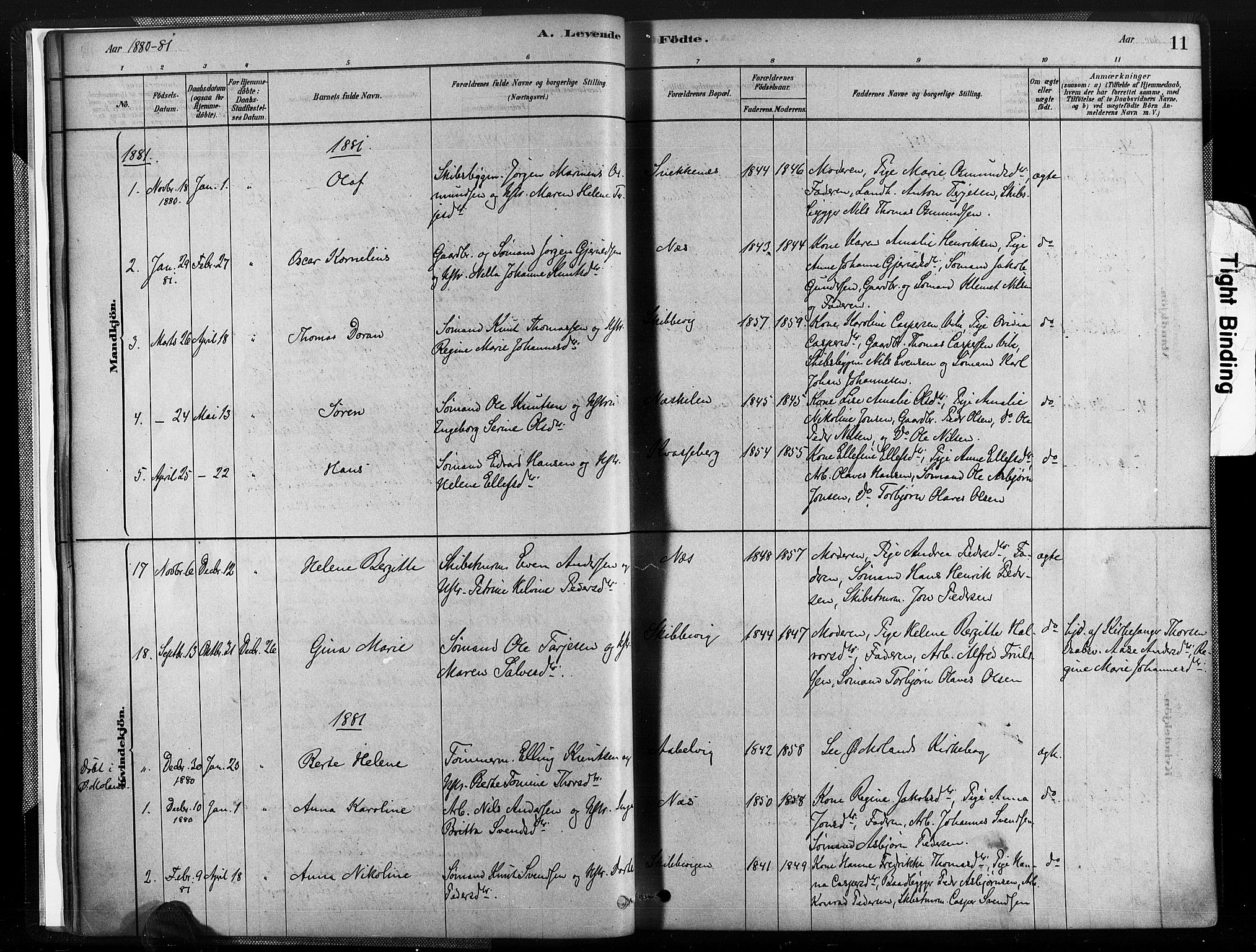 Austre Moland sokneprestkontor, SAK/1111-0001/F/Fa/Fab/L0001: Parish register (official) no. A 1, 1878-1898, p. 11