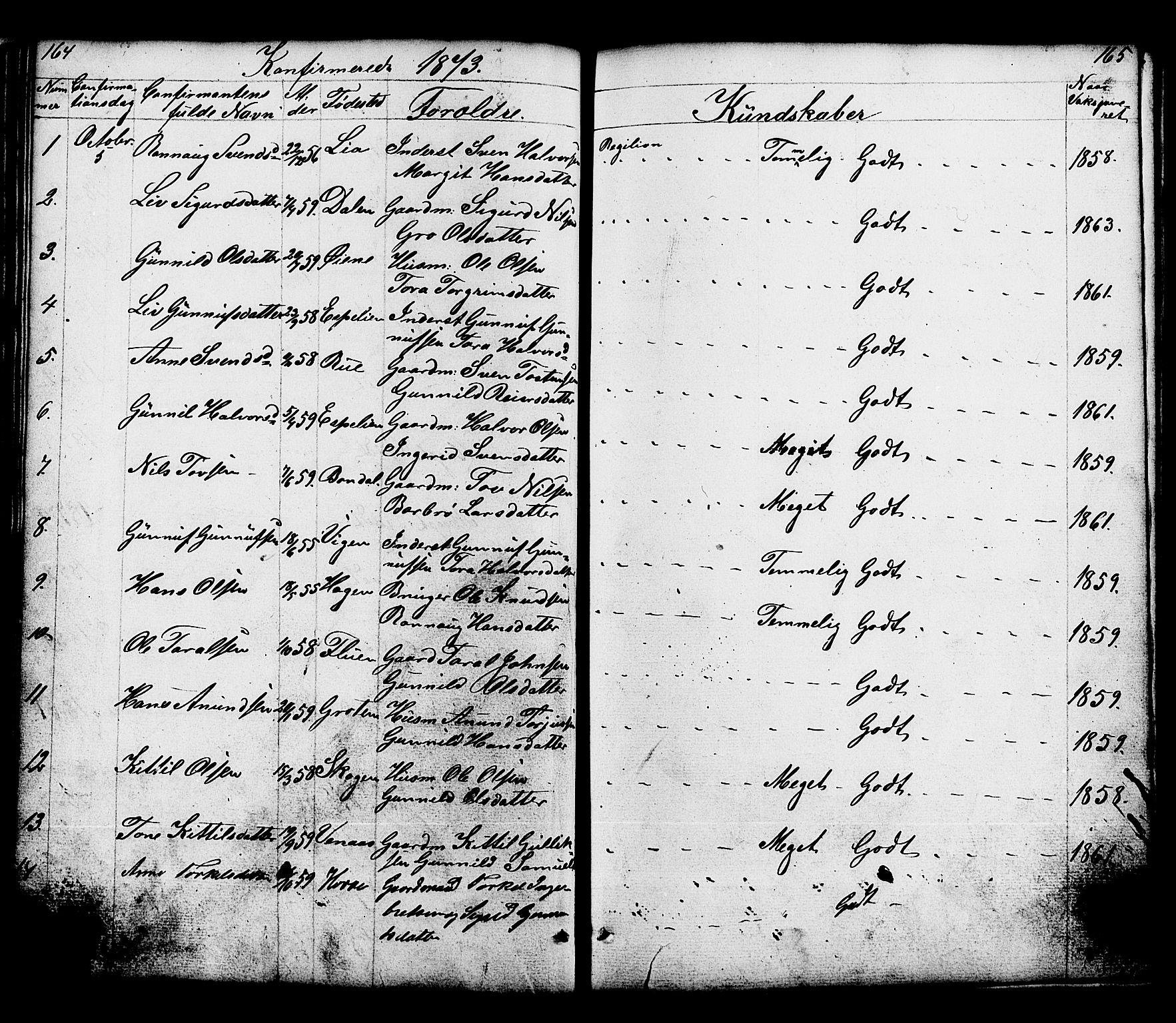 Hjartdal kirkebøker, SAKO/A-270/G/Gc/L0002: Parish register (copy) no. III 2, 1854-1890, p. 164-165