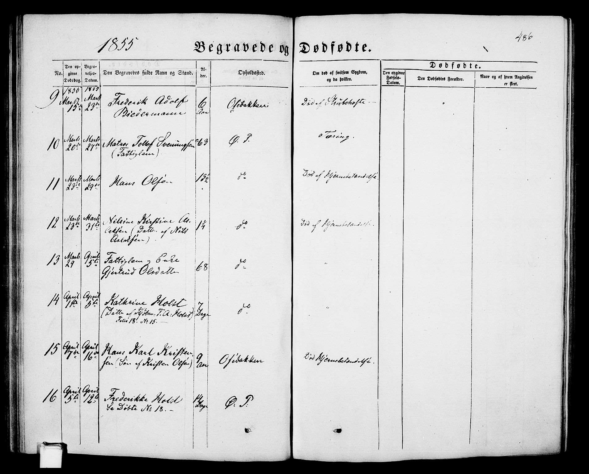 Porsgrunn kirkebøker , AV/SAKO-A-104/G/Gb/L0004: Parish register (copy) no. II 4, 1853-1882, p. 486