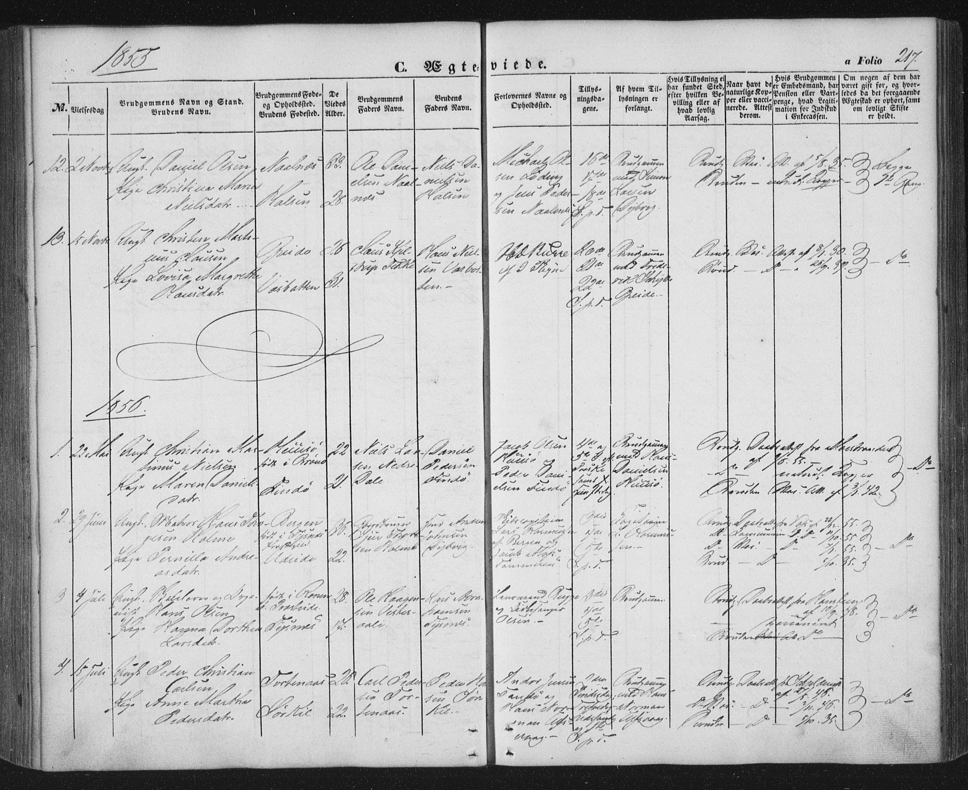 Ministerialprotokoller, klokkerbøker og fødselsregistre - Nordland, AV/SAT-A-1459/859/L0844: Parish register (official) no. 859A04, 1849-1862, p. 217