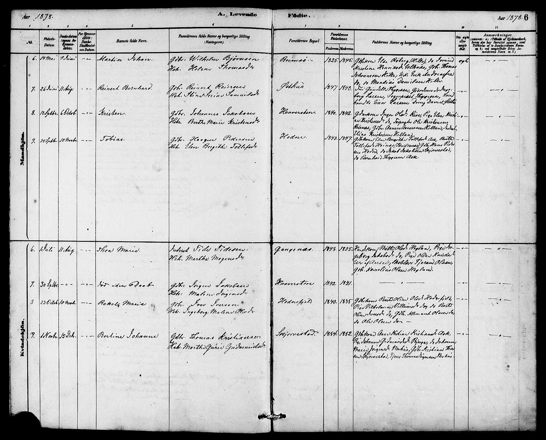 Rennesøy sokneprestkontor, SAST/A -101827/H/Ha/Haa/L0007: Parish register (official) no. A 7, 1878-1884, p. 6
