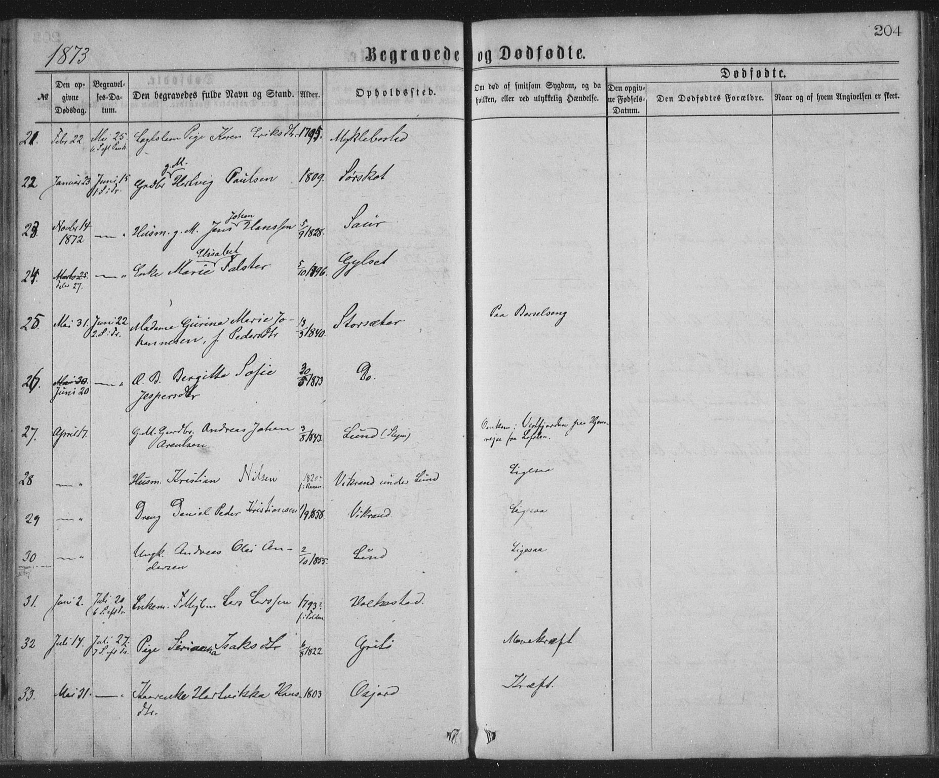 Ministerialprotokoller, klokkerbøker og fødselsregistre - Nordland, AV/SAT-A-1459/855/L0801: Parish register (official) no. 855A09, 1864-1874, p. 204