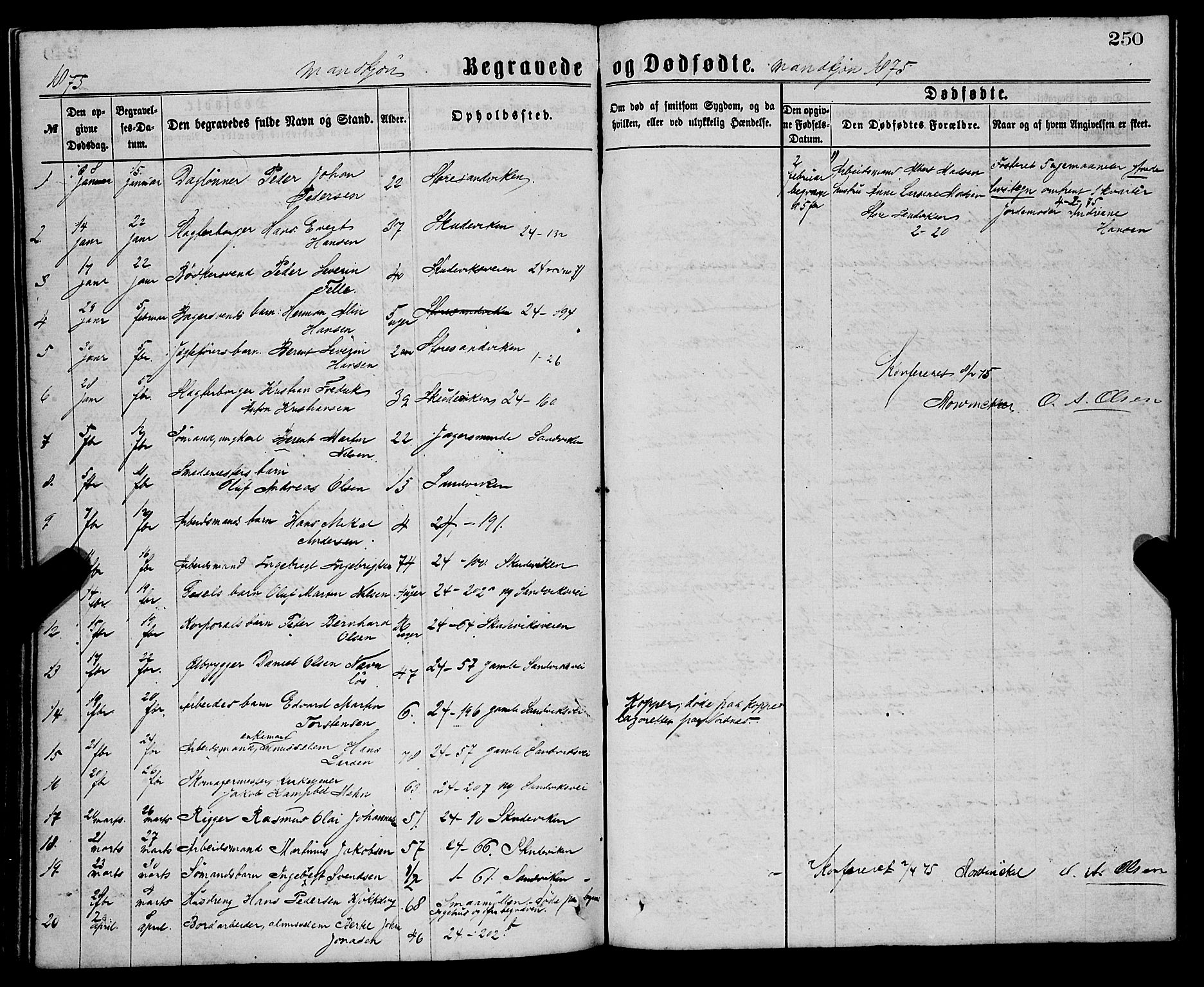 Sandviken Sokneprestembete, SAB/A-77601/H/Ha/L0001: Parish register (official) no. A 1, 1867-1877, p. 250