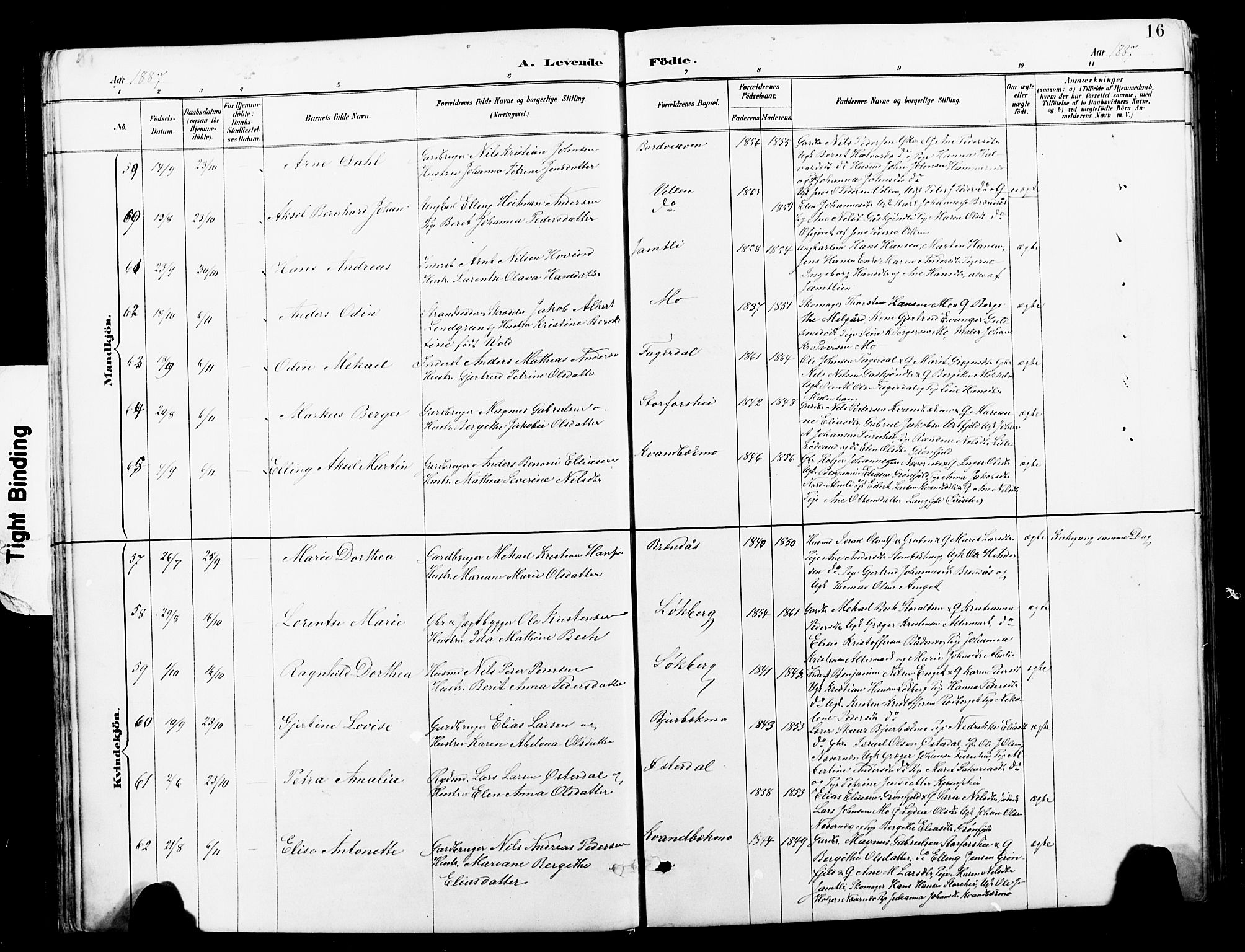 Ministerialprotokoller, klokkerbøker og fødselsregistre - Nordland, AV/SAT-A-1459/827/L0421: Parish register (copy) no. 827C10, 1887-1906, p. 16