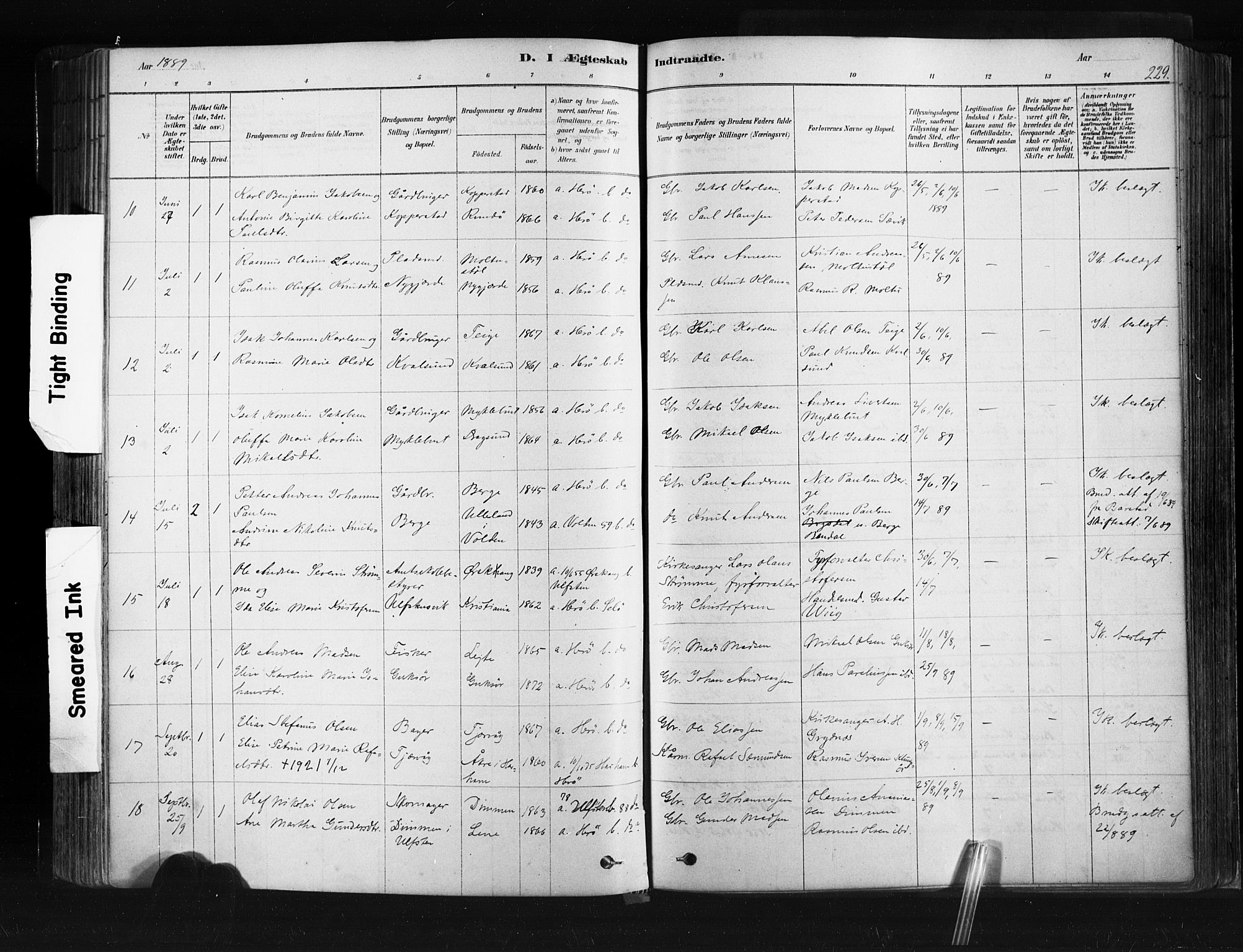 Ministerialprotokoller, klokkerbøker og fødselsregistre - Møre og Romsdal, SAT/A-1454/507/L0073: Parish register (official) no. 507A08, 1878-1904, p. 229