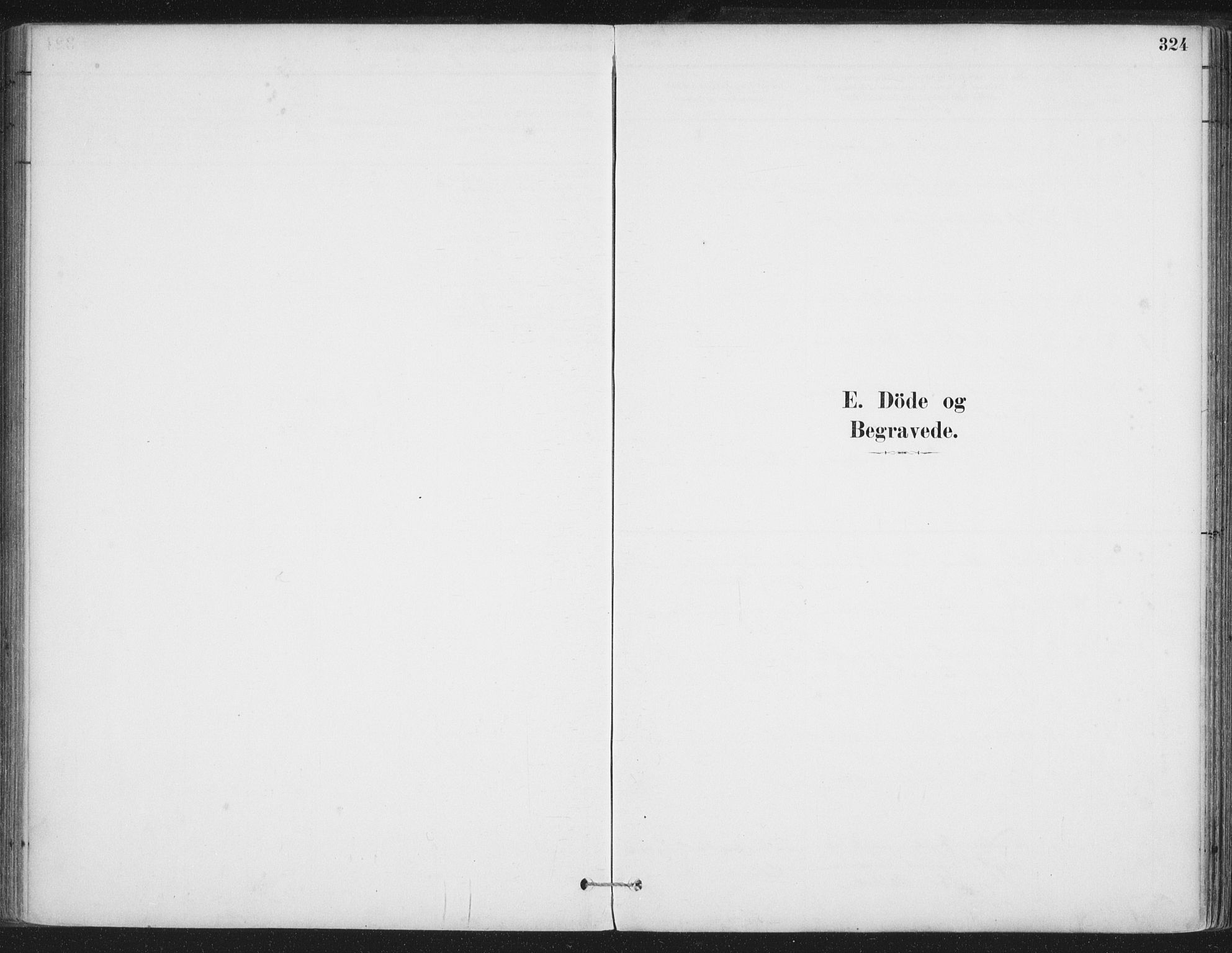 Ministerialprotokoller, klokkerbøker og fødselsregistre - Nordland, SAT/A-1459/888/L1244: Parish register (official) no. 888A10, 1880-1890, p. 324