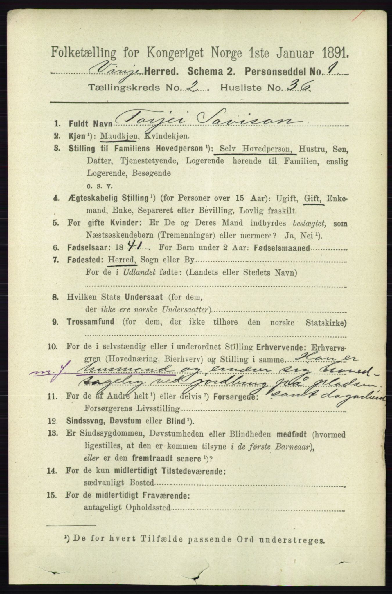 RA, 1891 census for 0834 Vinje, 1891, p. 592