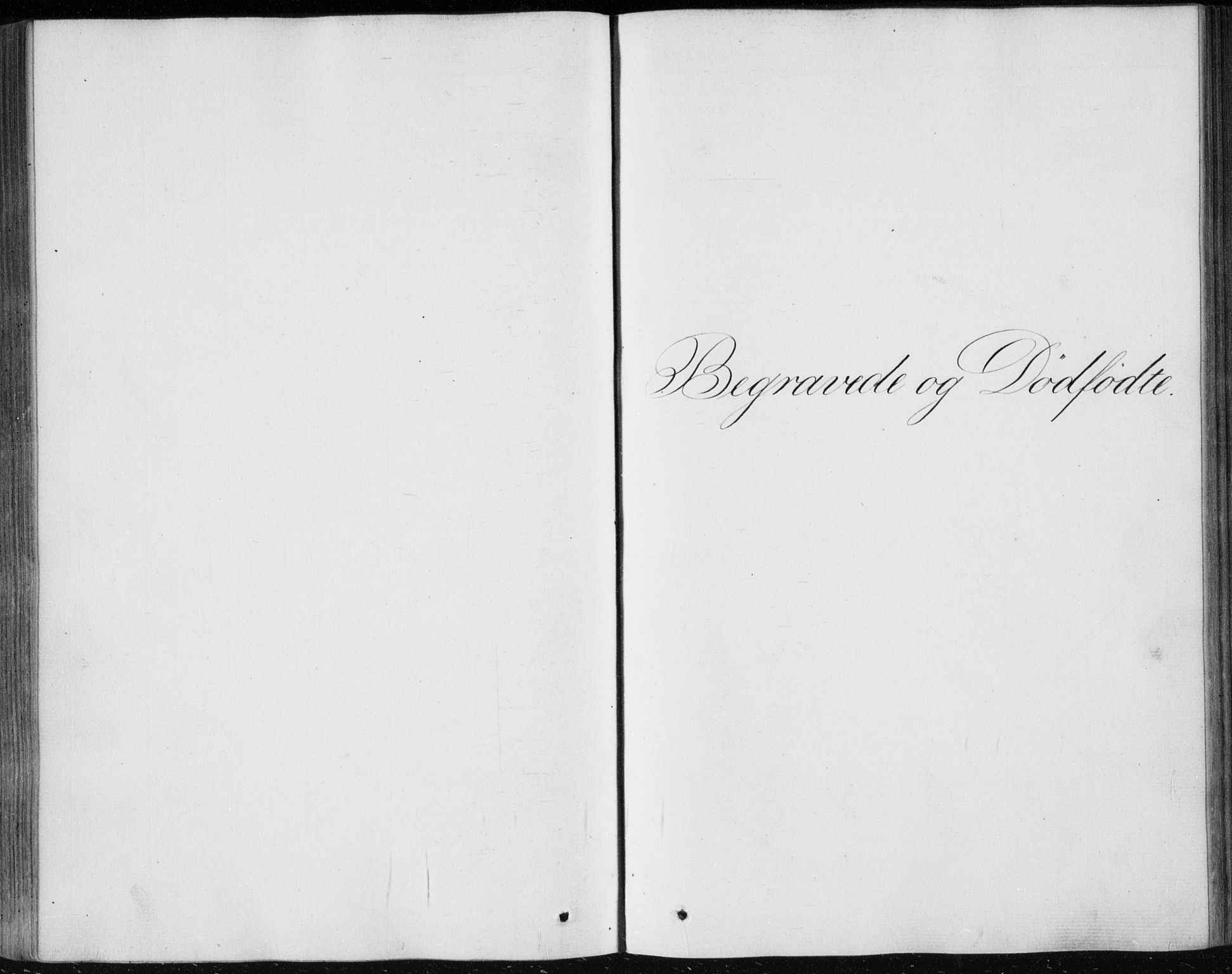 Strømsø kirkebøker, SAKO/A-246/F/Fa/L0014: Parish register (official) no. I 14, 1848-1858