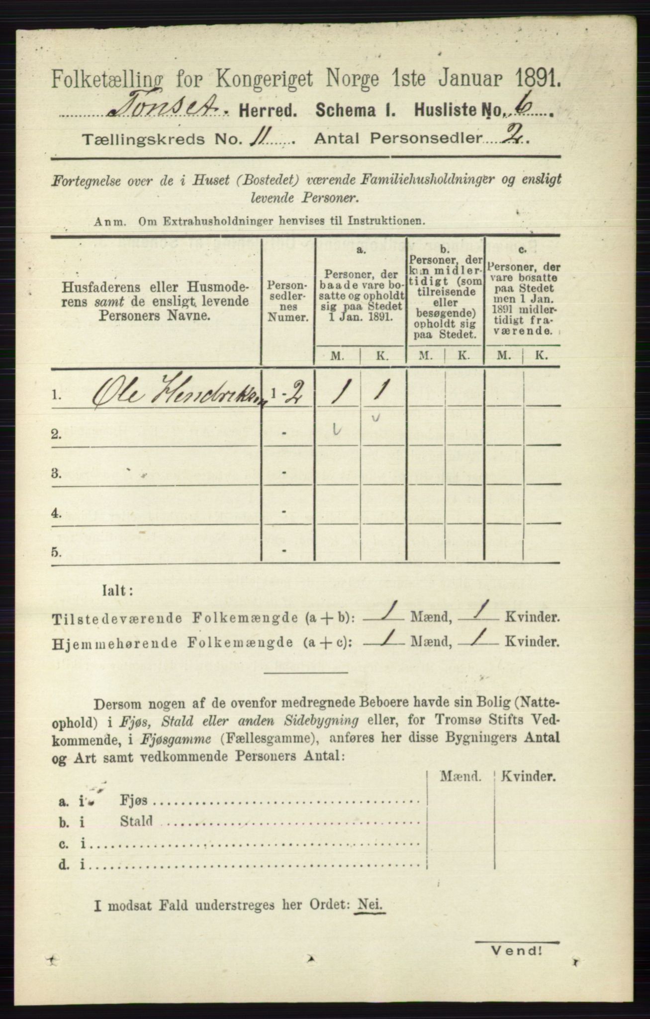 RA, 1891 census for 0437 Tynset, 1891, p. 2989