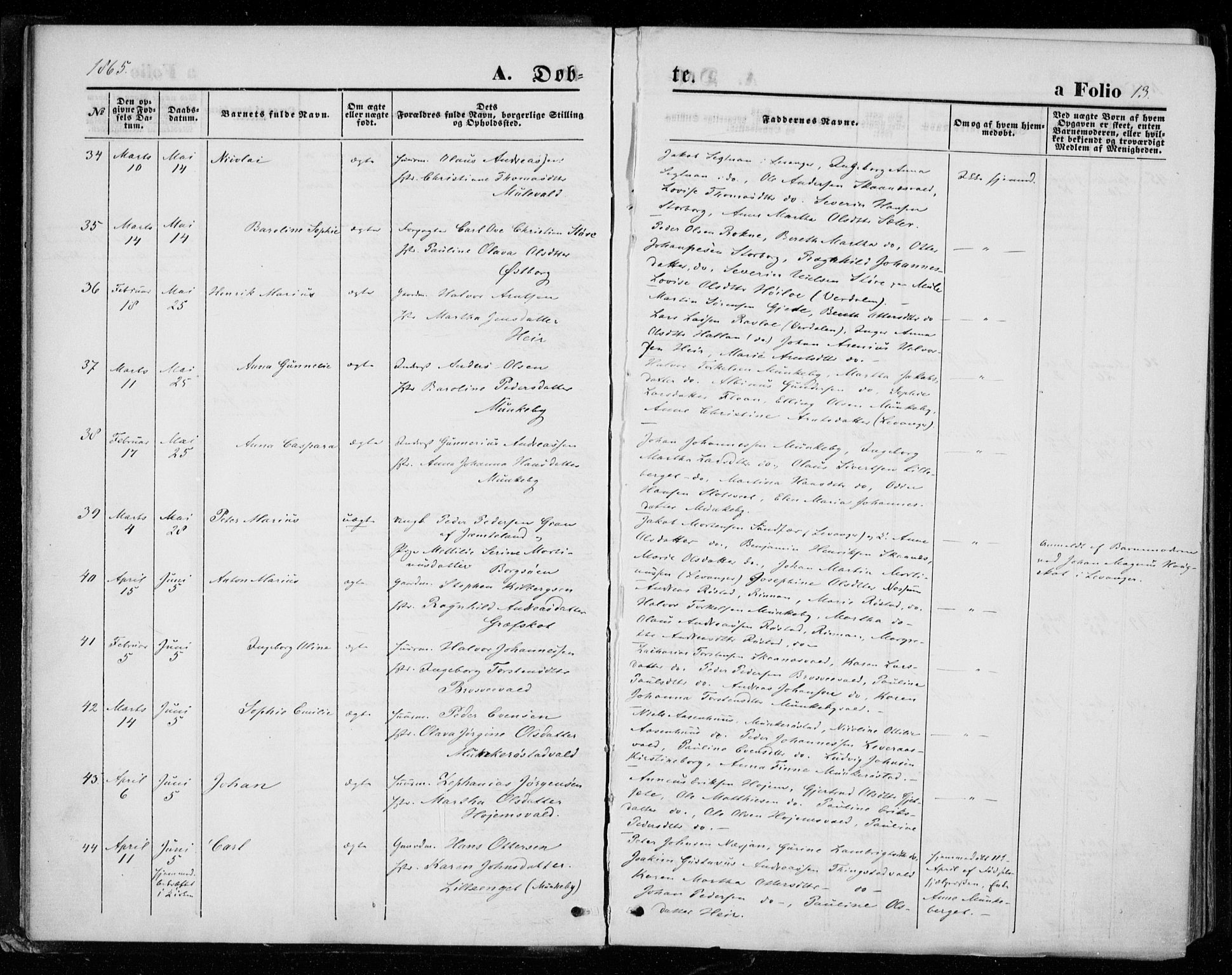 Ministerialprotokoller, klokkerbøker og fødselsregistre - Nord-Trøndelag, AV/SAT-A-1458/721/L0206: Parish register (official) no. 721A01, 1864-1874, p. 13