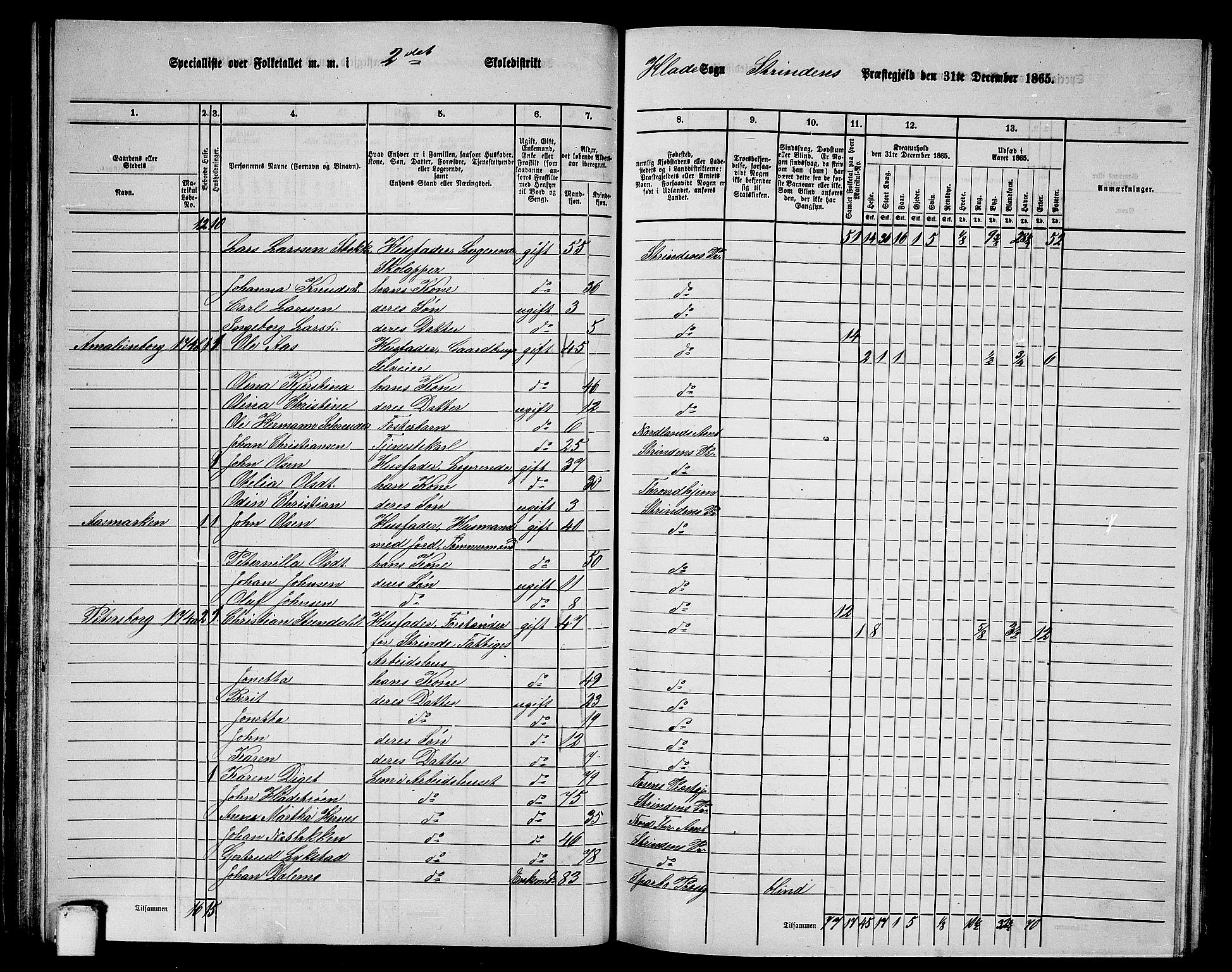 RA, 1865 census for Strinda, 1865, p. 49