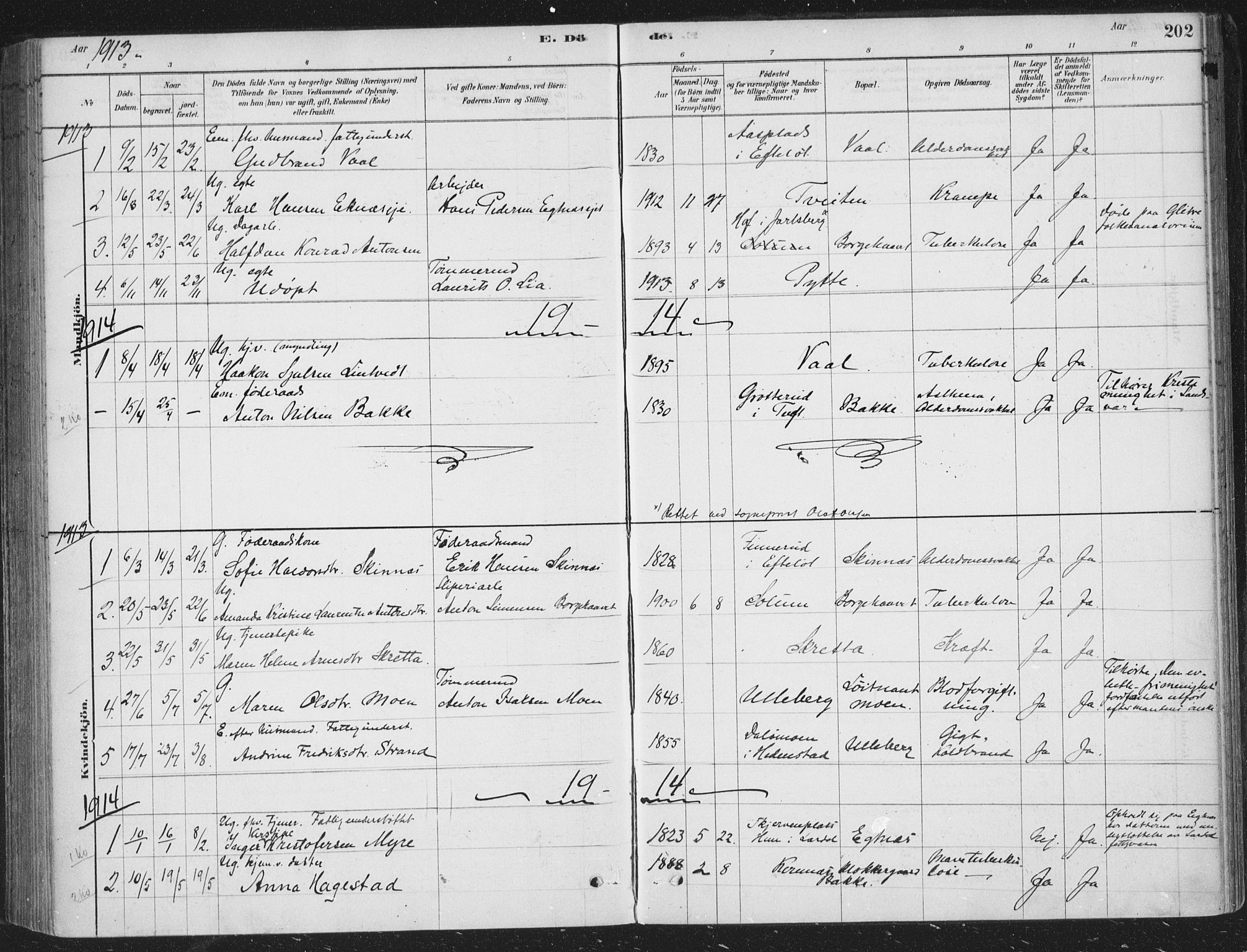 Sandsvær kirkebøker, SAKO/A-244/F/Fe/L0001: Parish register (official) no. V 1, 1878-1936, p. 202