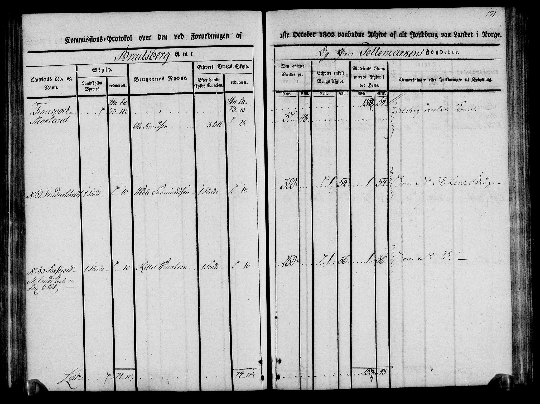 Rentekammeret inntil 1814, Realistisk ordnet avdeling, AV/RA-EA-4070/N/Ne/Nea/L0075: Øvre Telemarken fogderi. Kommisjonsprotokoll for fogderiets vestre del - Kviteseid, Vinje, Moland [):Fyresdal] og Lårdal prestegjeld., 1803, p. 193