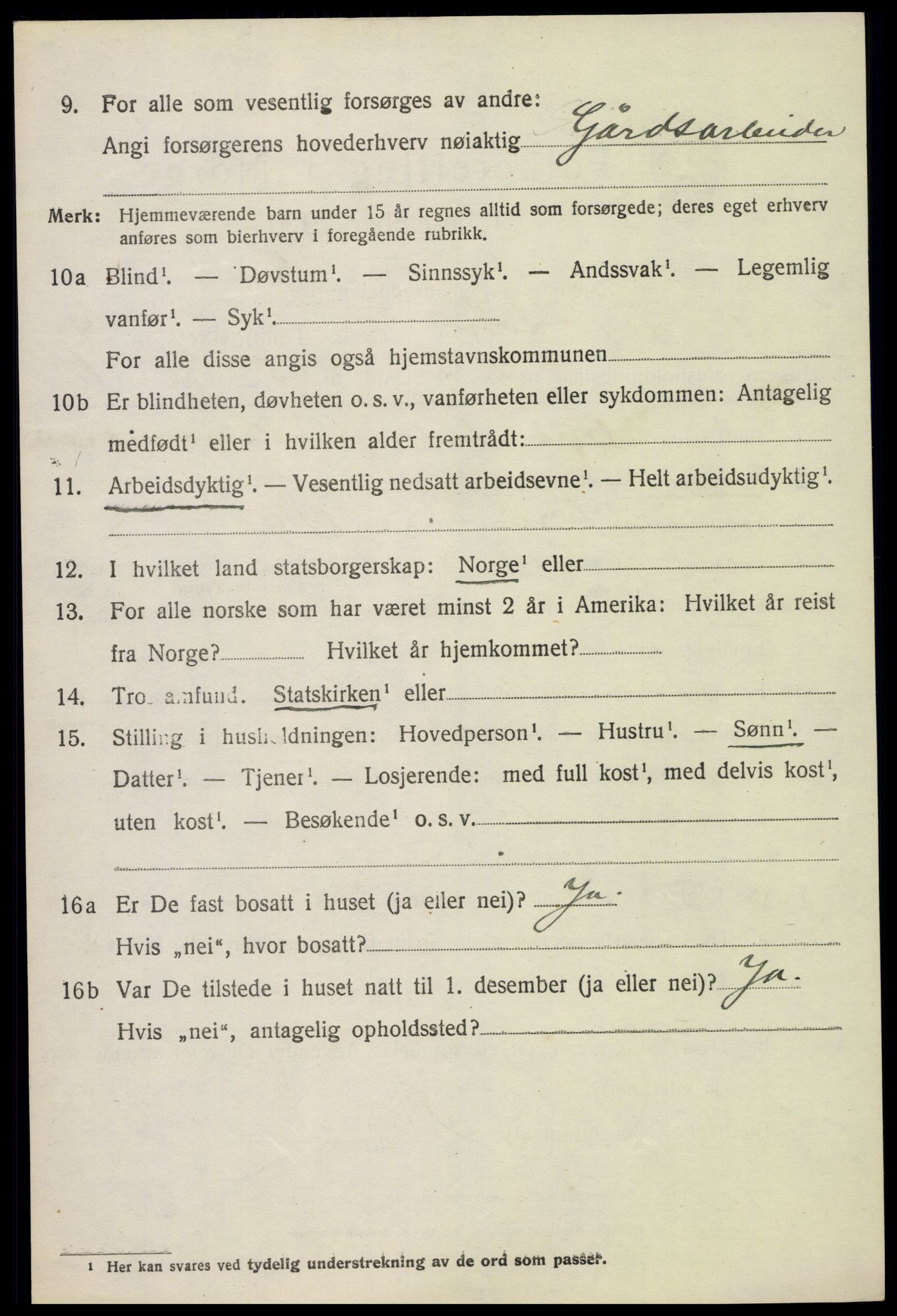 SAH, 1920 census for Lom, 1920, p. 2869