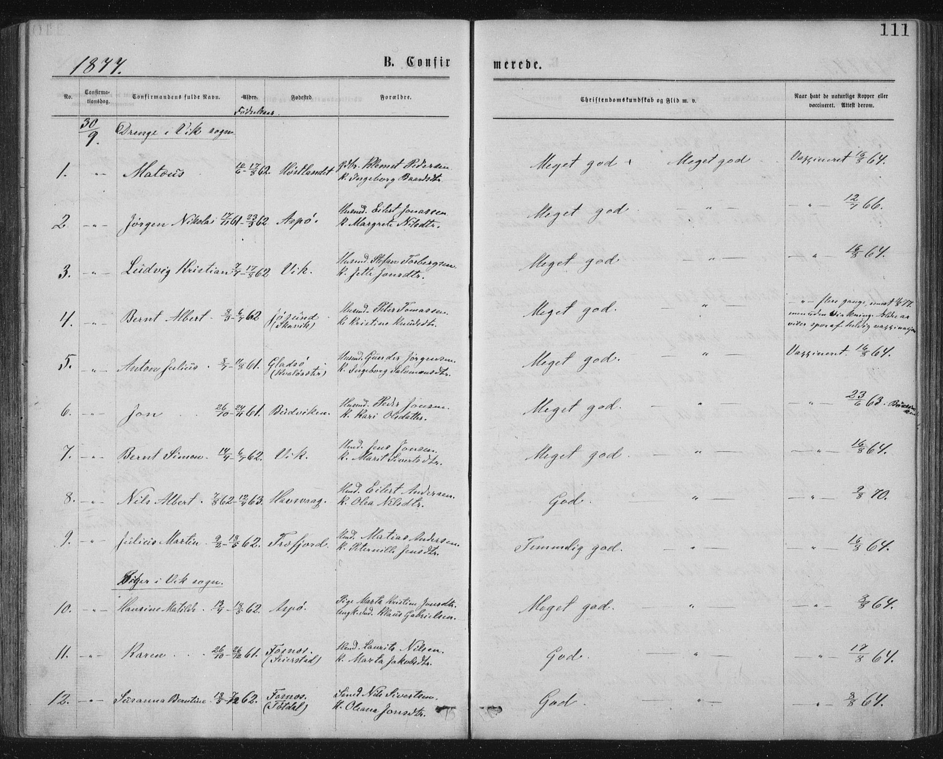 Ministerialprotokoller, klokkerbøker og fødselsregistre - Nord-Trøndelag, SAT/A-1458/771/L0596: Parish register (official) no. 771A03, 1870-1884, p. 111