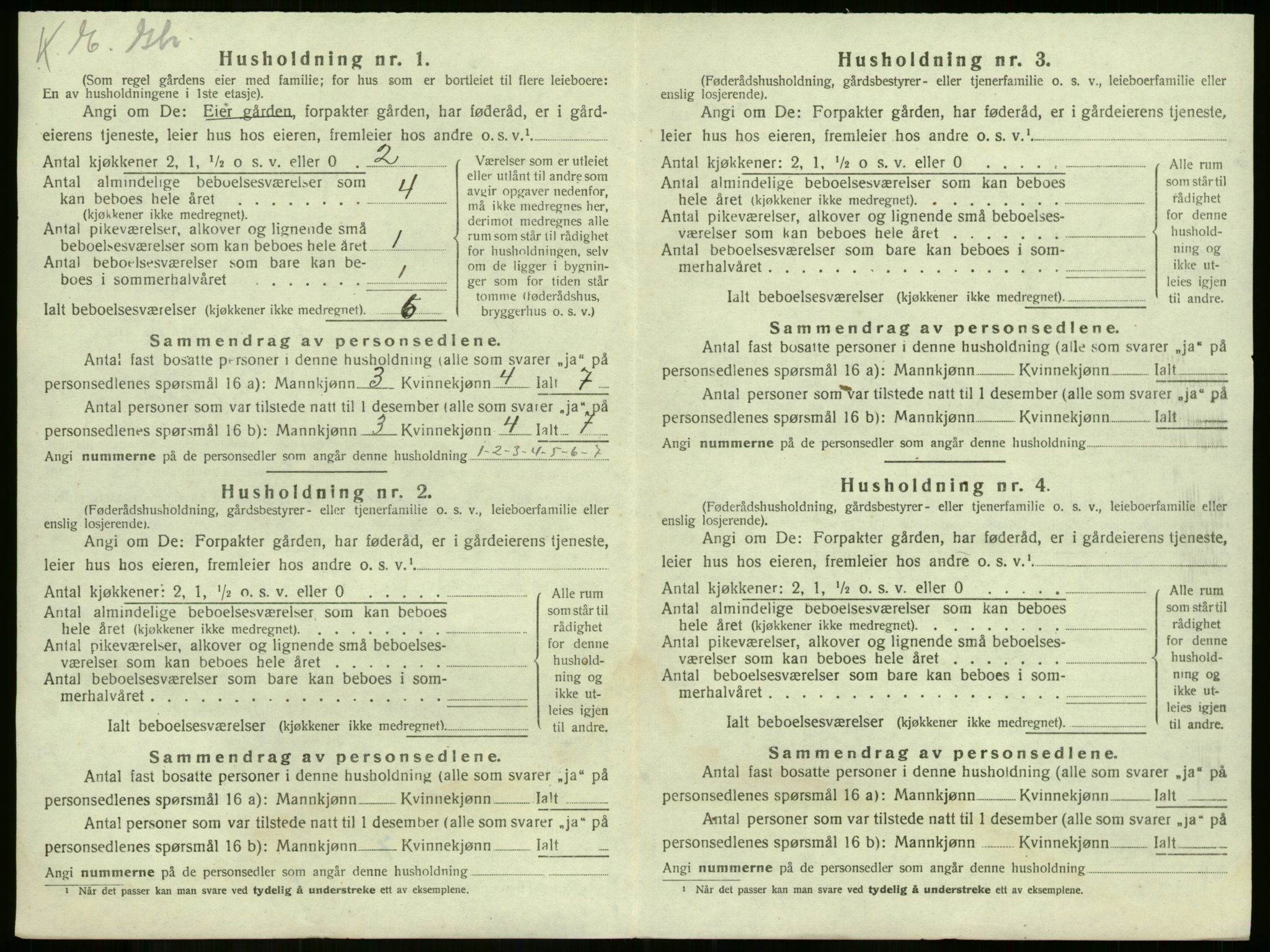 SAKO, 1920 census for Våle, 1920, p. 1013