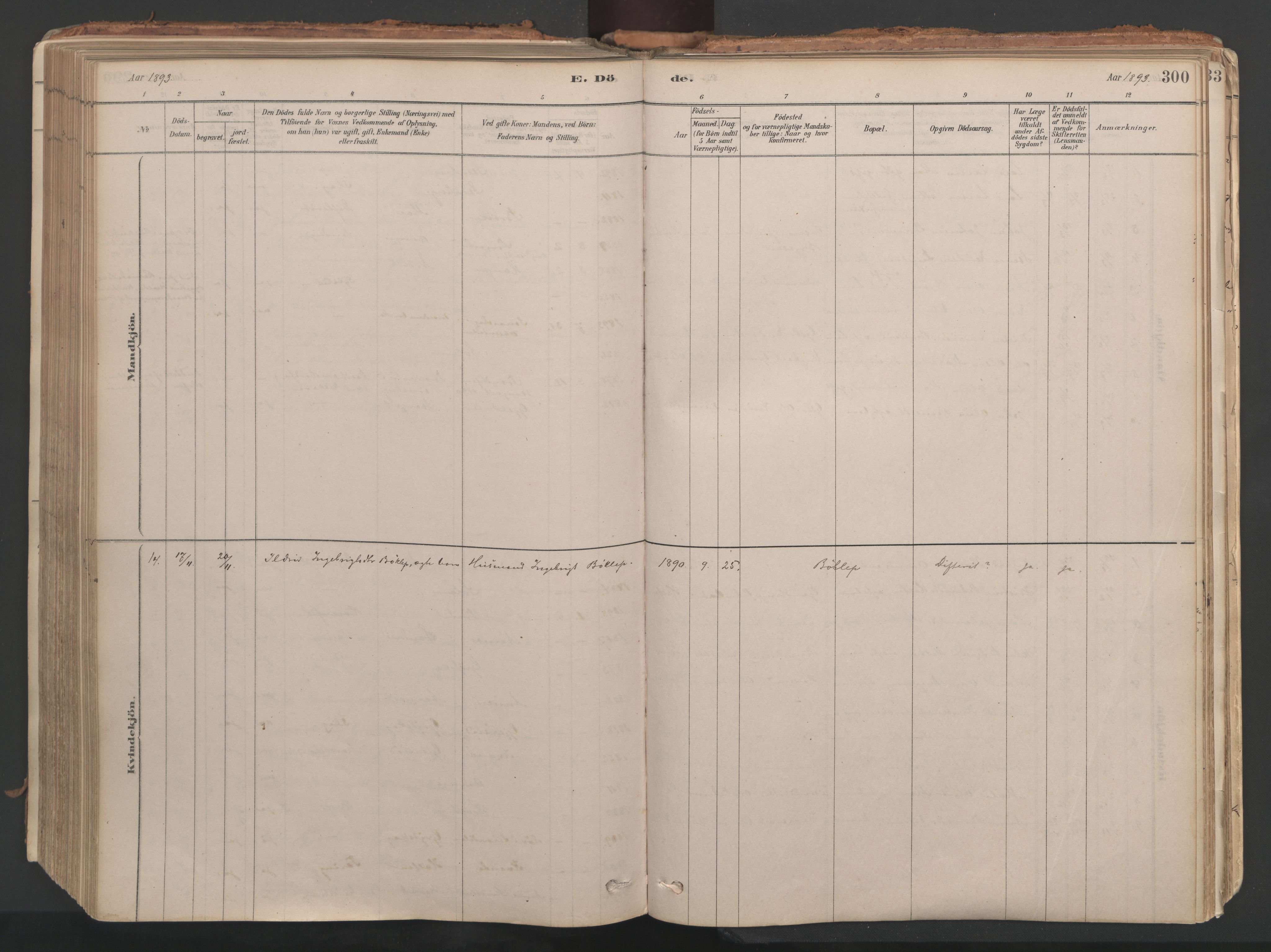 Ministerialprotokoller, klokkerbøker og fødselsregistre - Møre og Romsdal, AV/SAT-A-1454/592/L1029: Parish register (official) no. 592A07, 1879-1902, p. 300