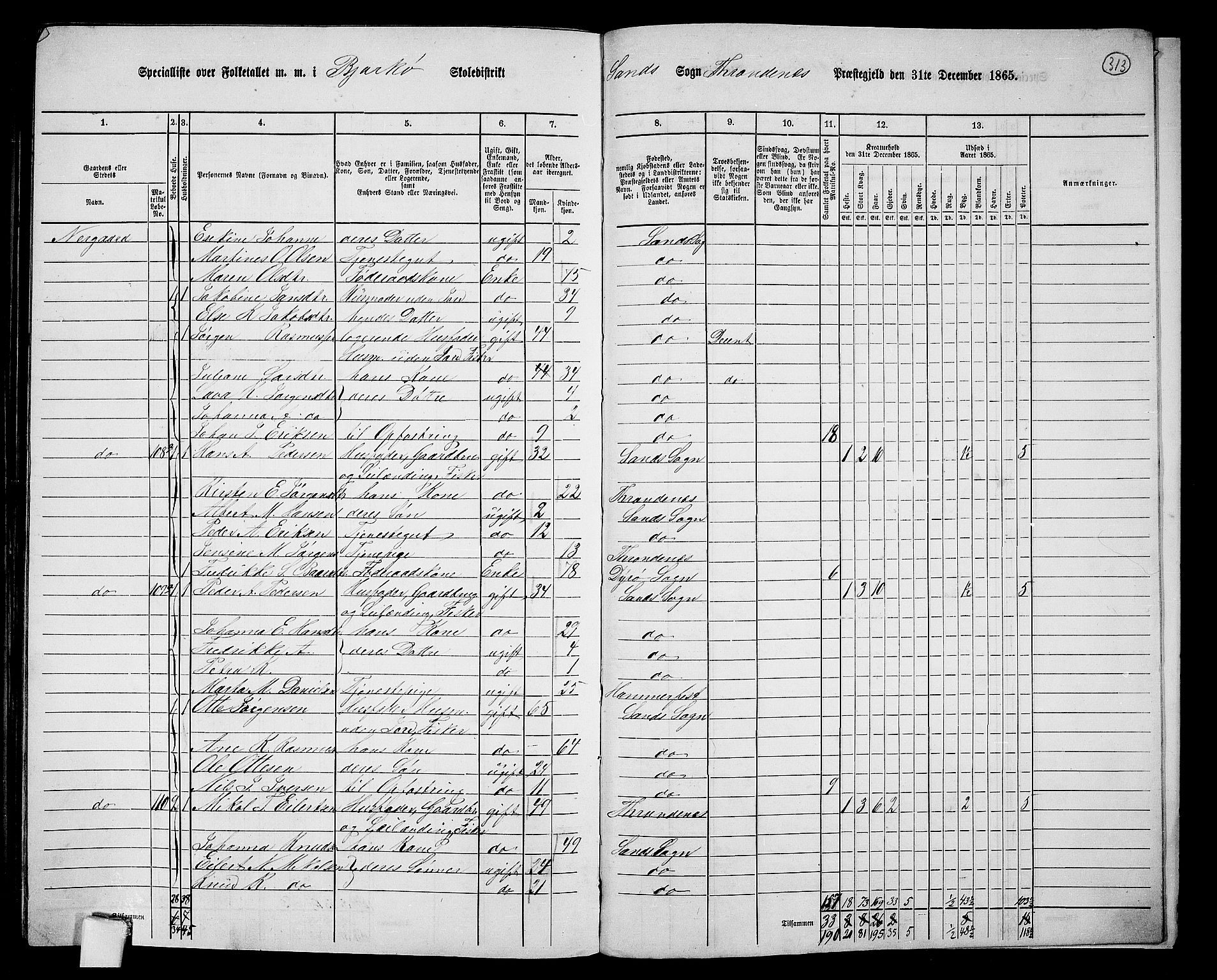 RA, 1865 census for Trondenes, 1865, p. 193