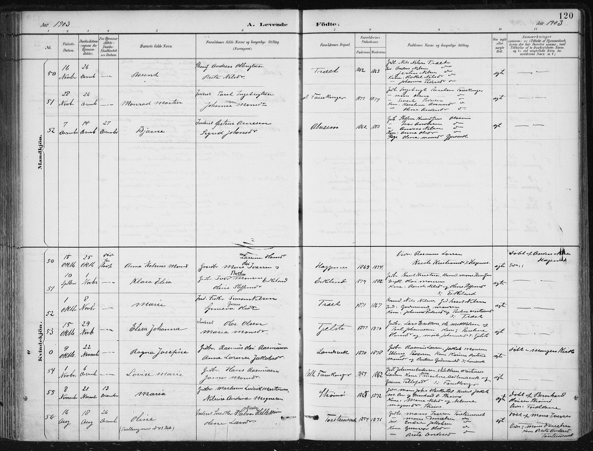 Herdla Sokneprestembete, SAB/A-75701/H/Haa: Parish register (official) no. A 4, 1891-1905, p. 120