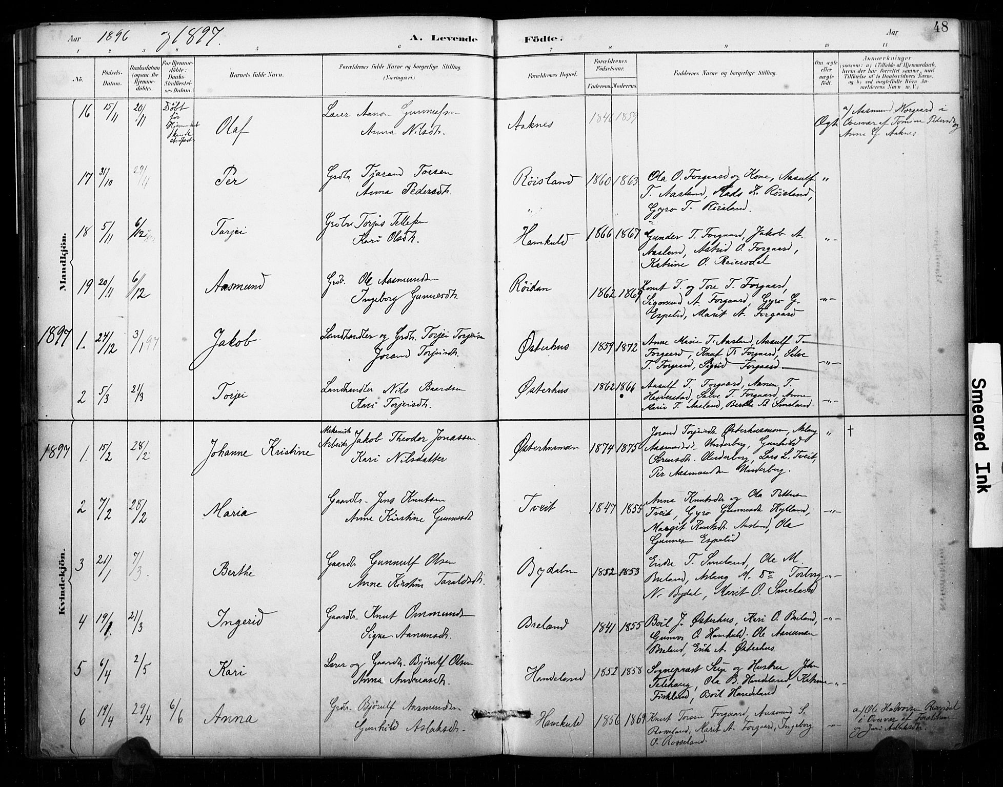 Åseral sokneprestkontor, AV/SAK-1111-0051/F/Fa/L0003: Parish register (official) no. A 3, 1884-1901, p. 48