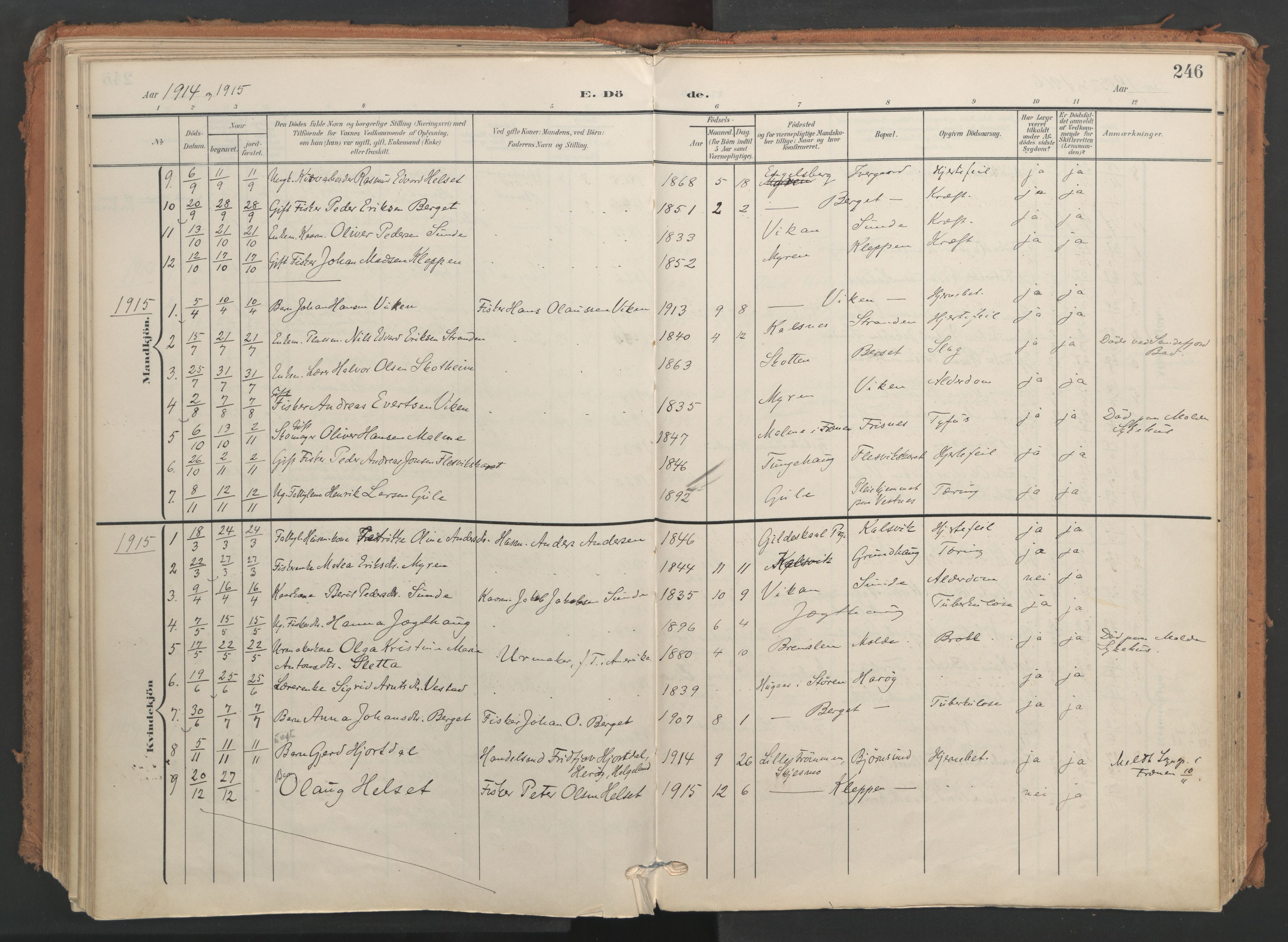 Ministerialprotokoller, klokkerbøker og fødselsregistre - Møre og Romsdal, SAT/A-1454/566/L0771: Parish register (official) no. 566A10, 1904-1929, p. 246