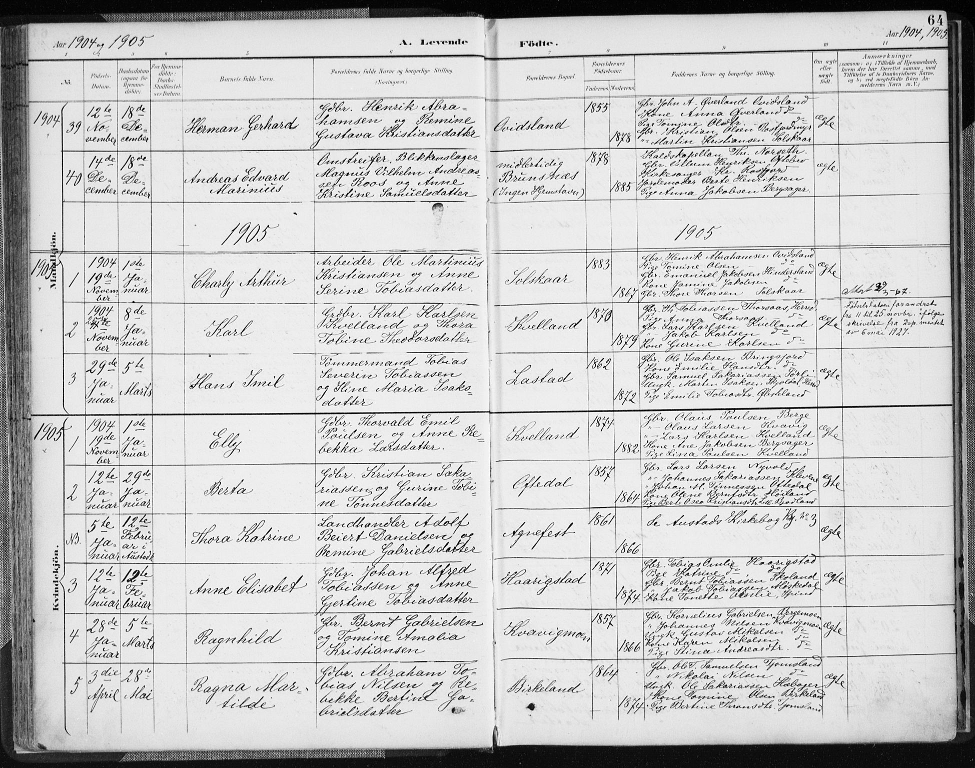 Lyngdal sokneprestkontor, AV/SAK-1111-0029/F/Fa/Fac/L0012: Parish register (official) no. A 12, 1894-1918, p. 64